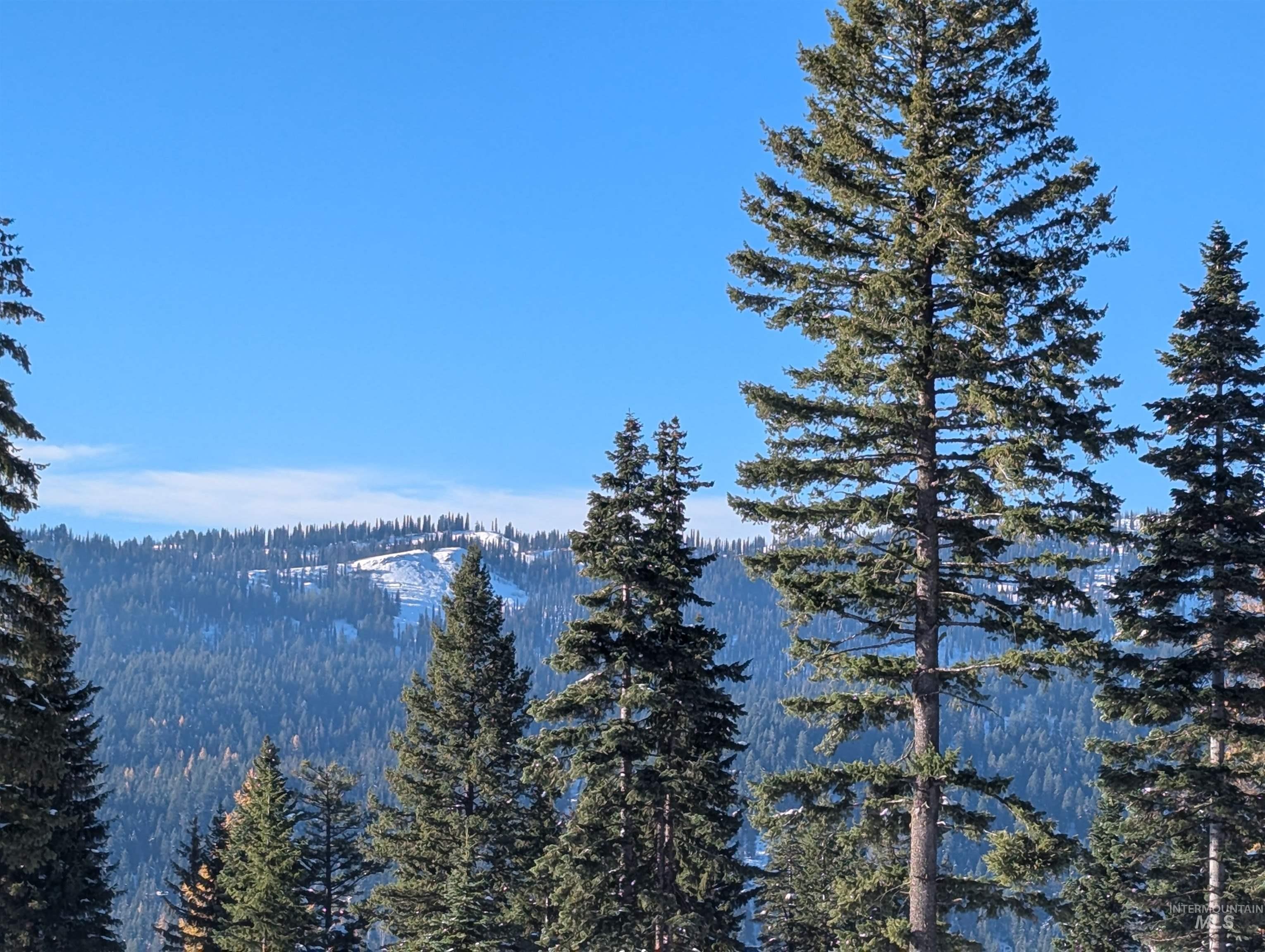 tbd North Loop, McCall, Idaho 83638, Land For Sale, Price $839,000, 98966936