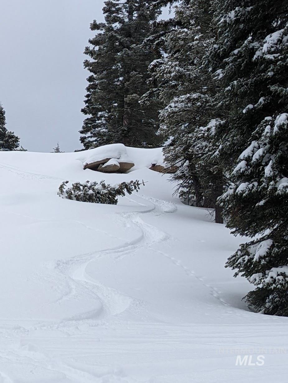 tbd North Loop, McCall, Idaho 83638, Land For Sale, Price $839,000, 98966936