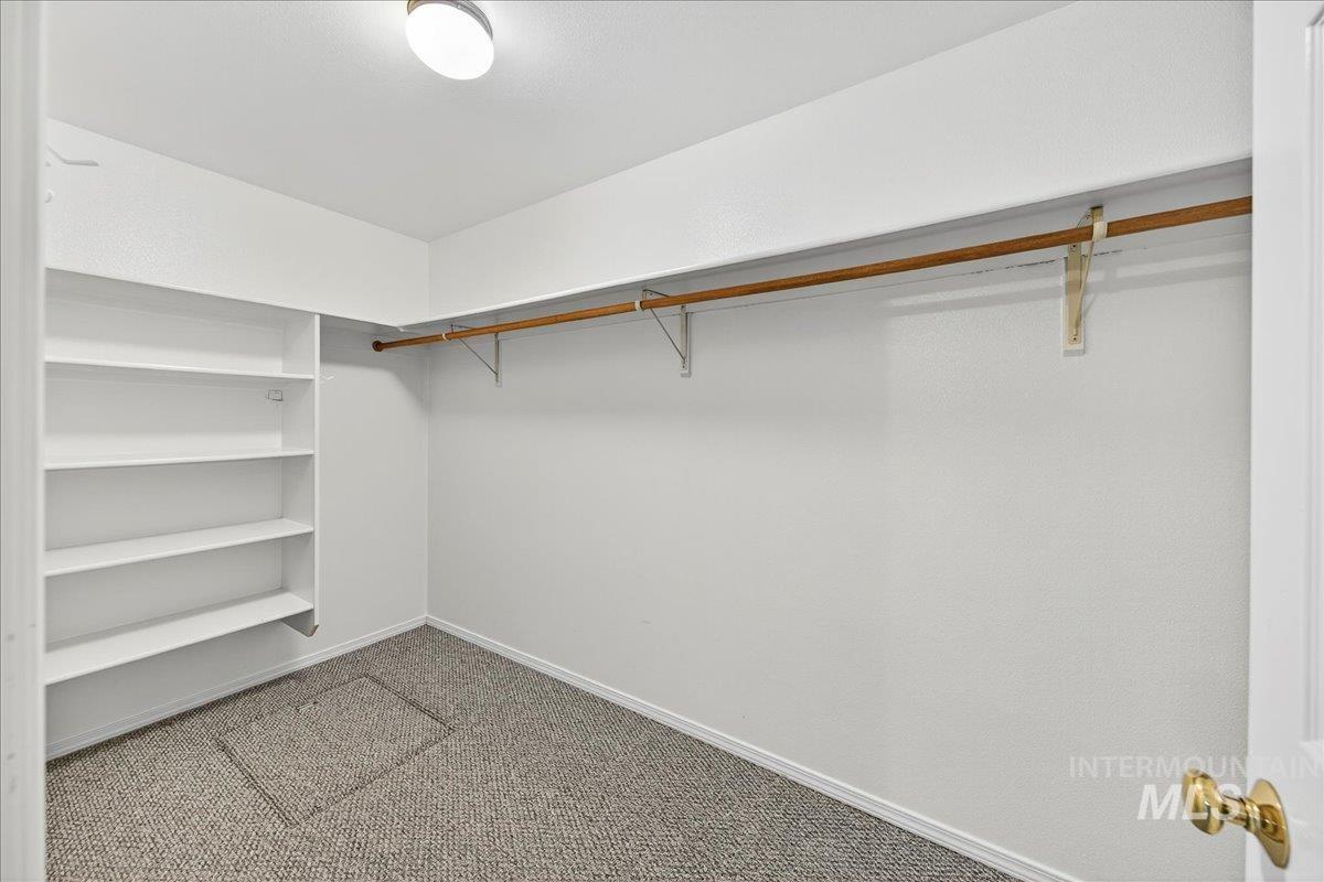 Walk in closet with light colored carpet