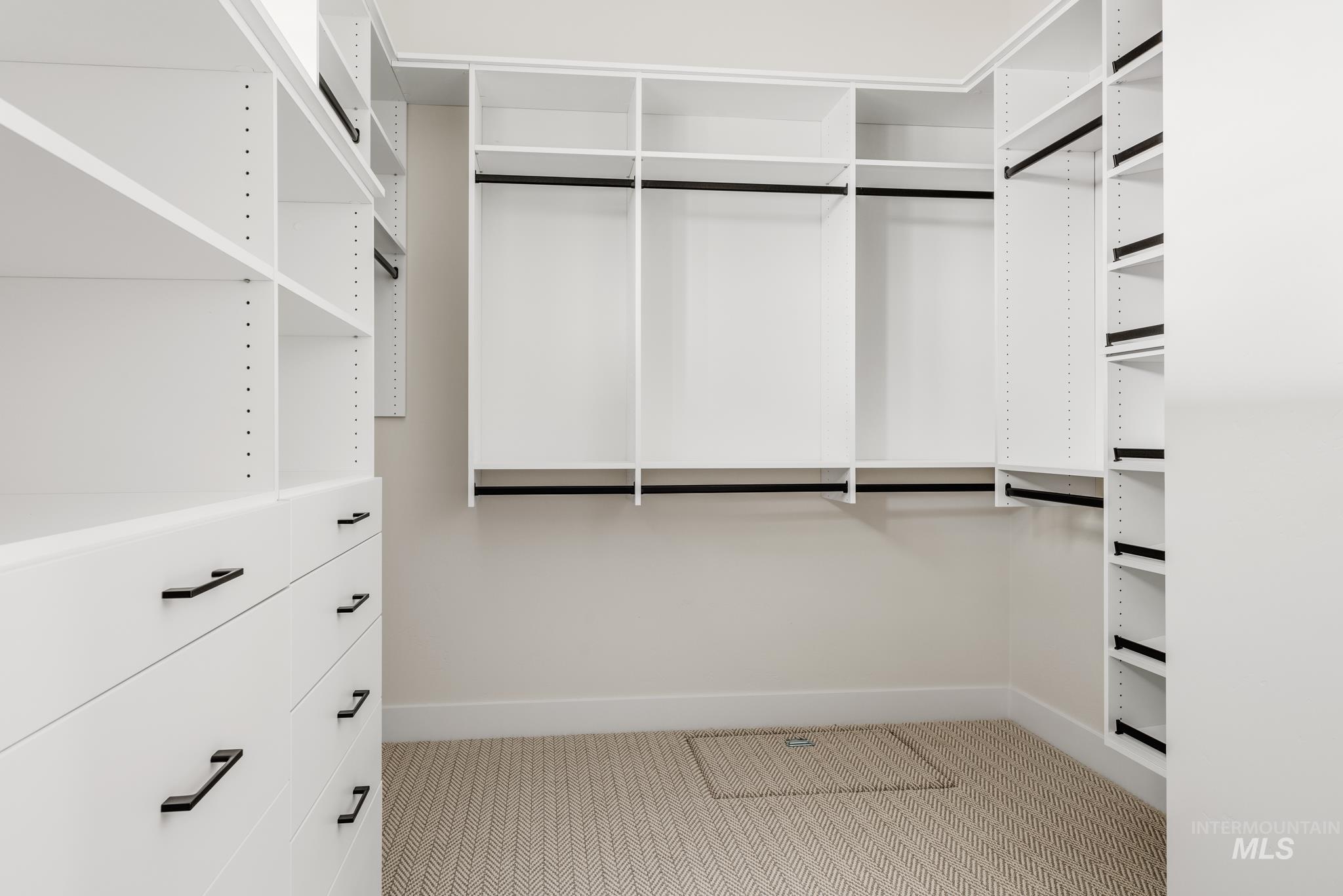Spacious closet featuring light colored carpet