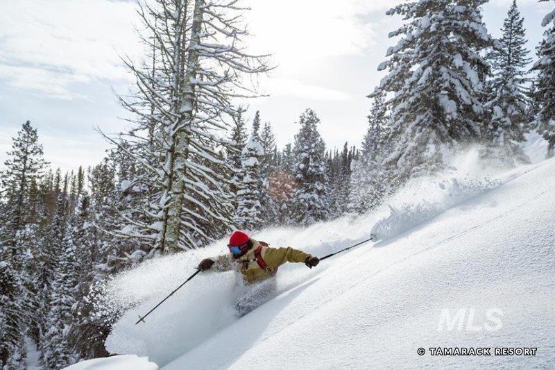 760 Village Drive, Donnelly, Idaho 83615, 2 Bedrooms, 2 Bathrooms, Residential For Sale, Price $998,900, 98966976