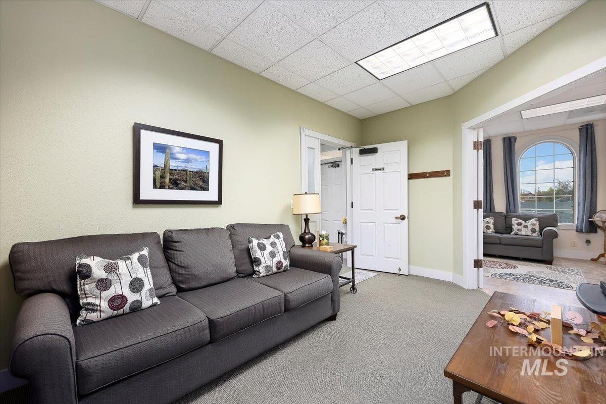 Carpeted living room featuring a drop ceiling and baseboards