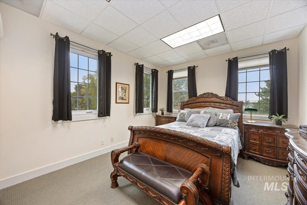 Carpeted bedroom with a paneled ceiling and baseboards