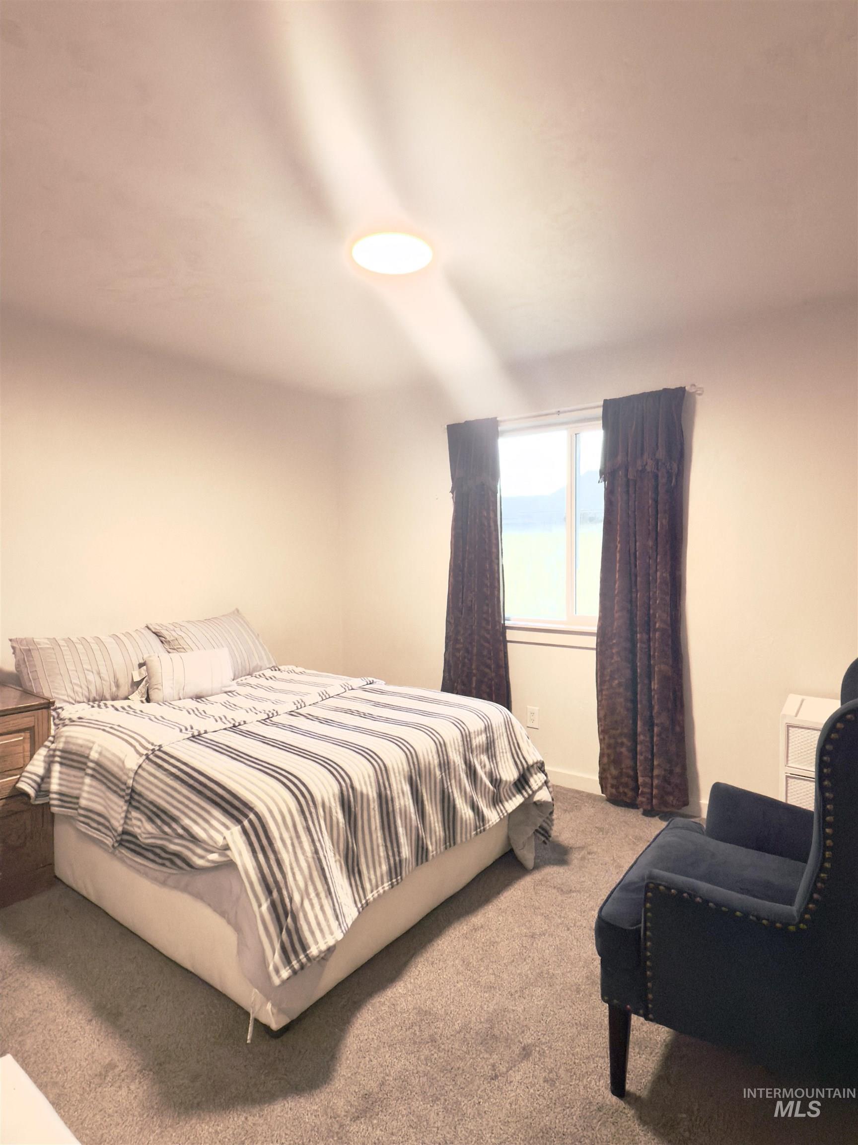 Bedroom featuring carpet floors