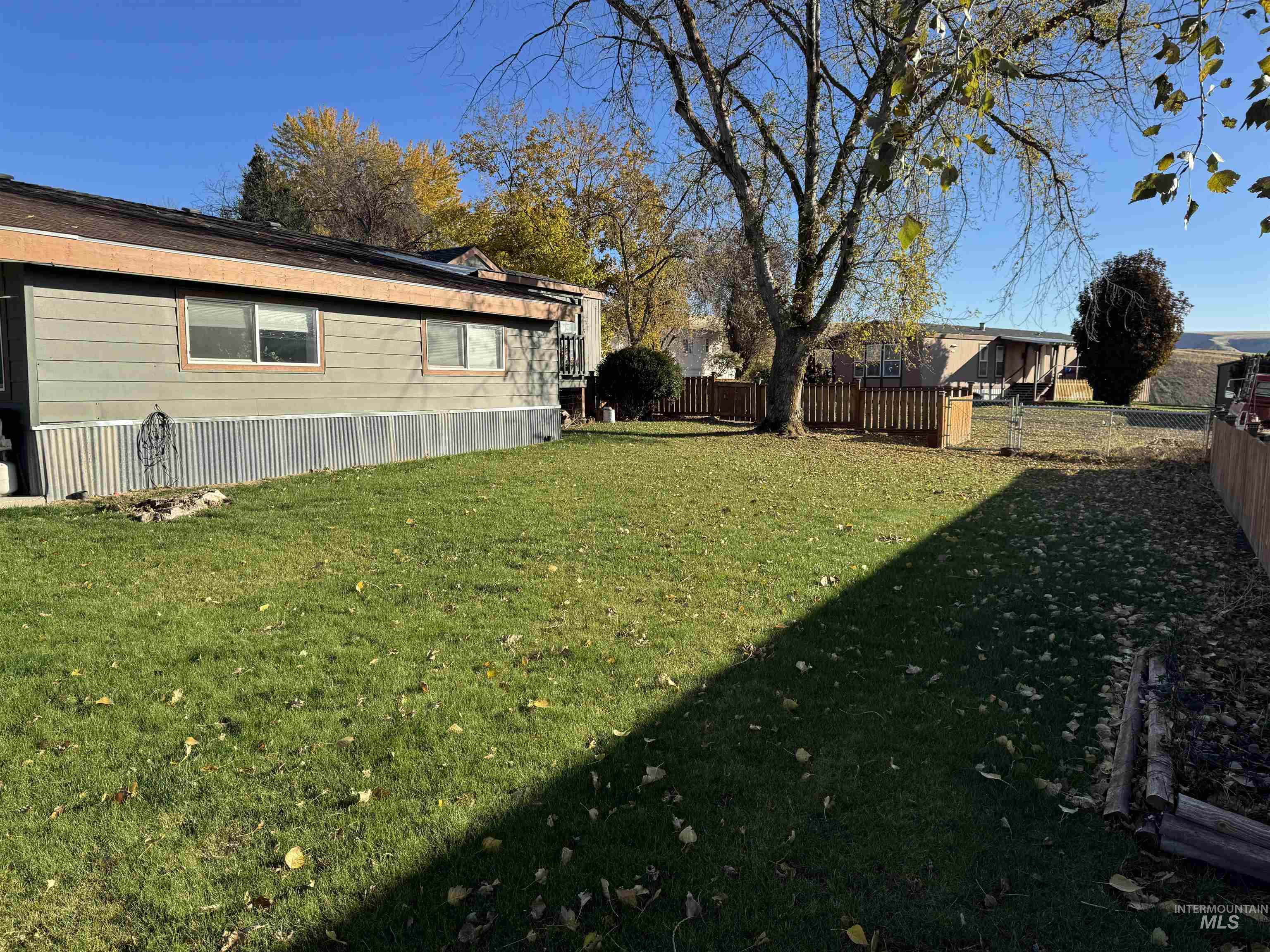 View of fenced backyard