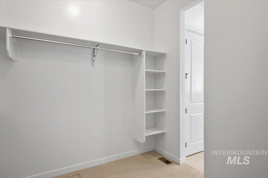 Spacious closet featuring light carpet