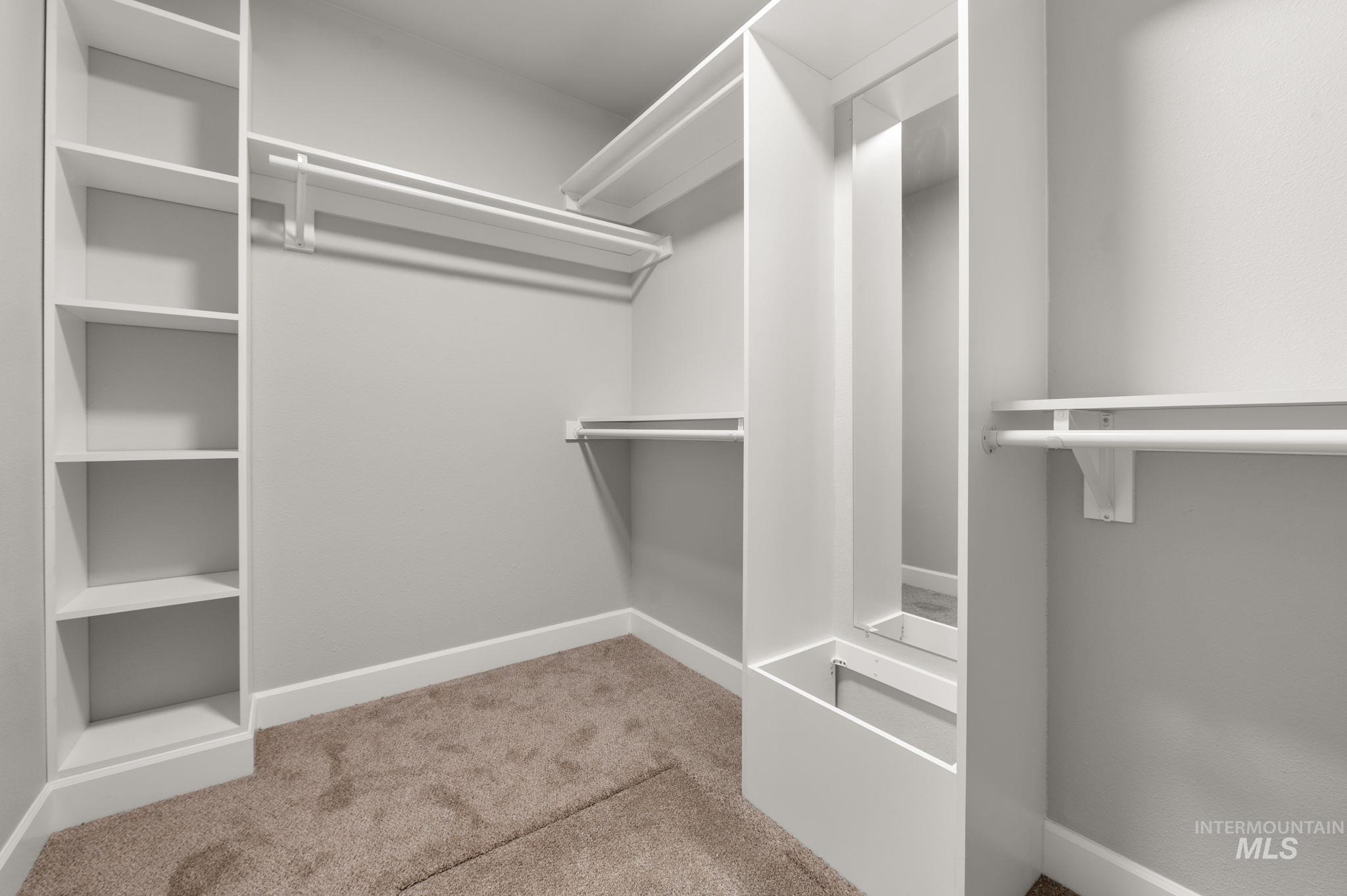 Spacious closet featuring light carpet