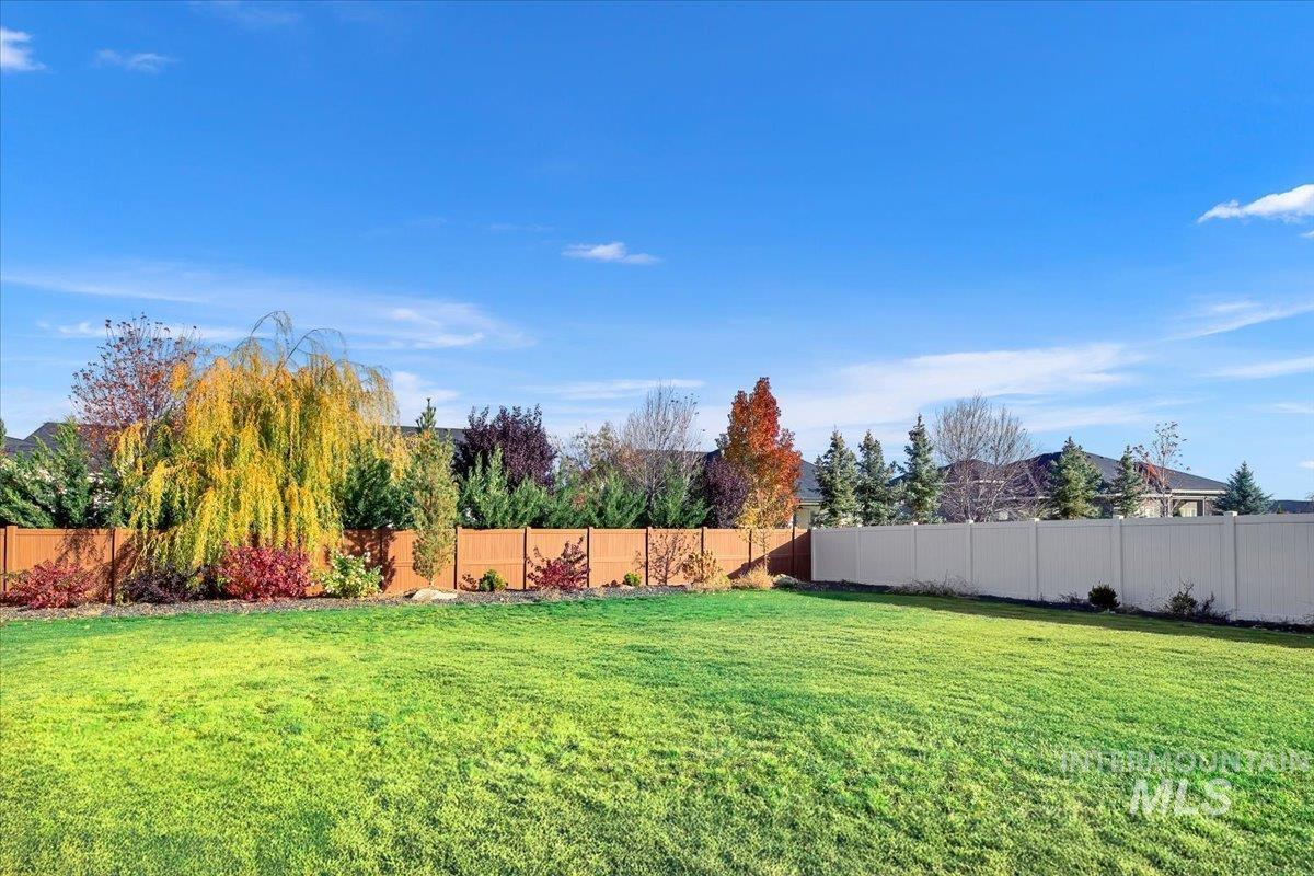 View of fenced backyard