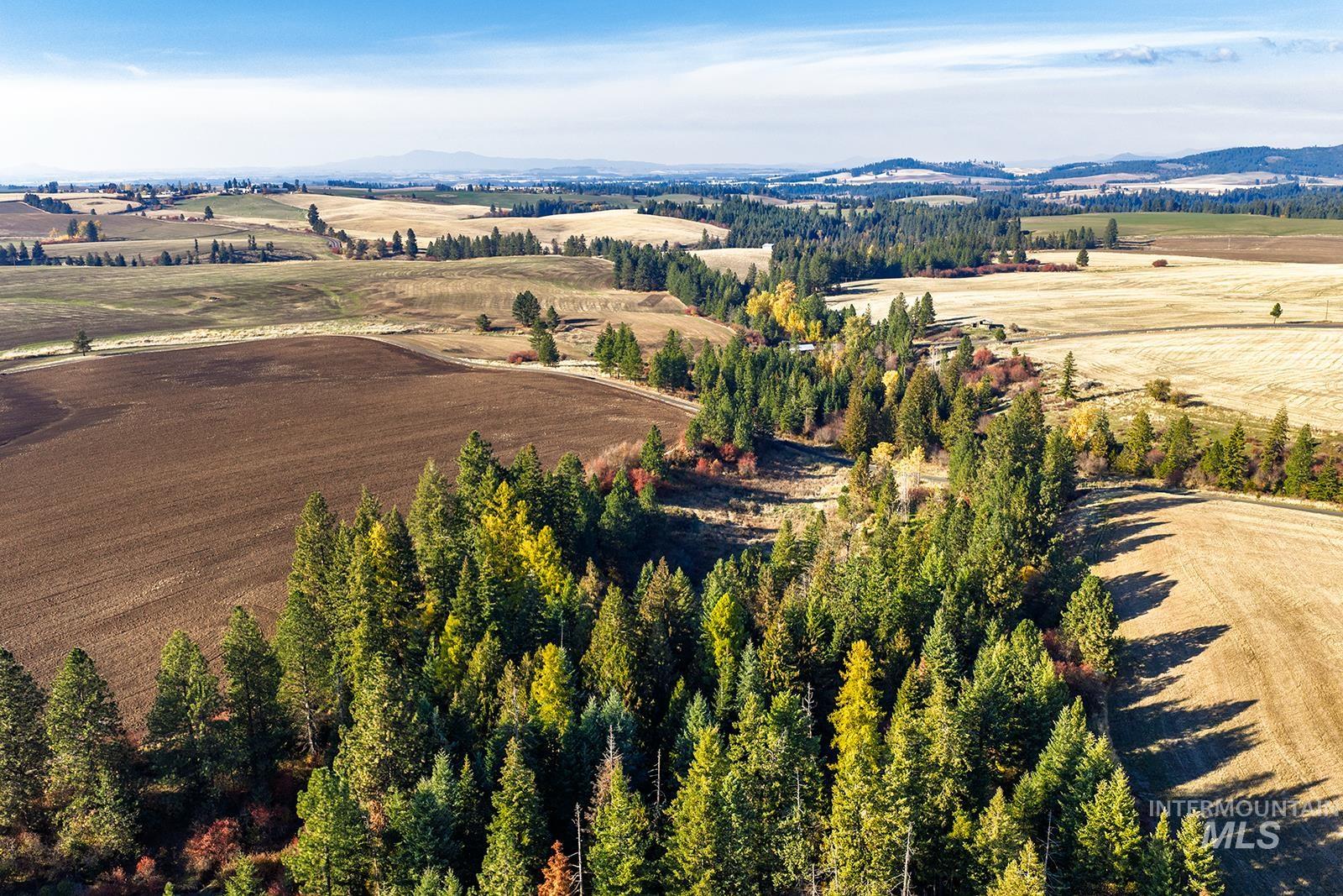 Aerial view of sparsely populated area featuring a mountainous background