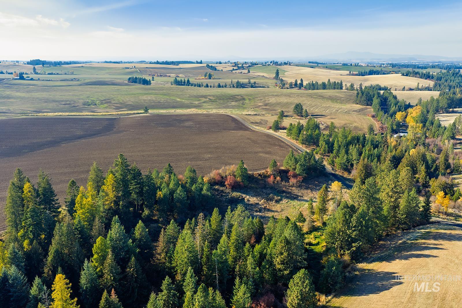 Overview of rural landscape