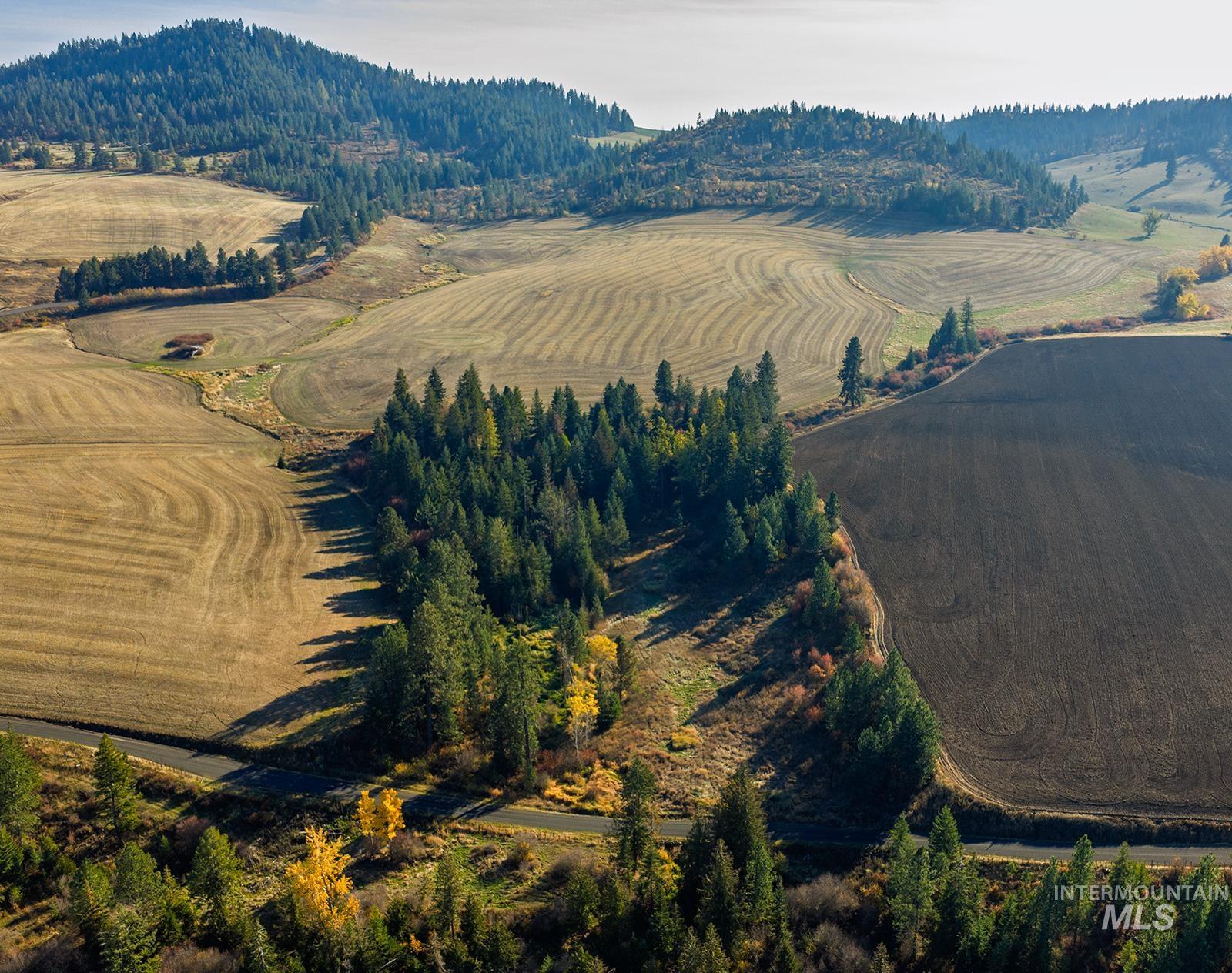 Aerial view of property and surrounding area with rural landscape and a forest