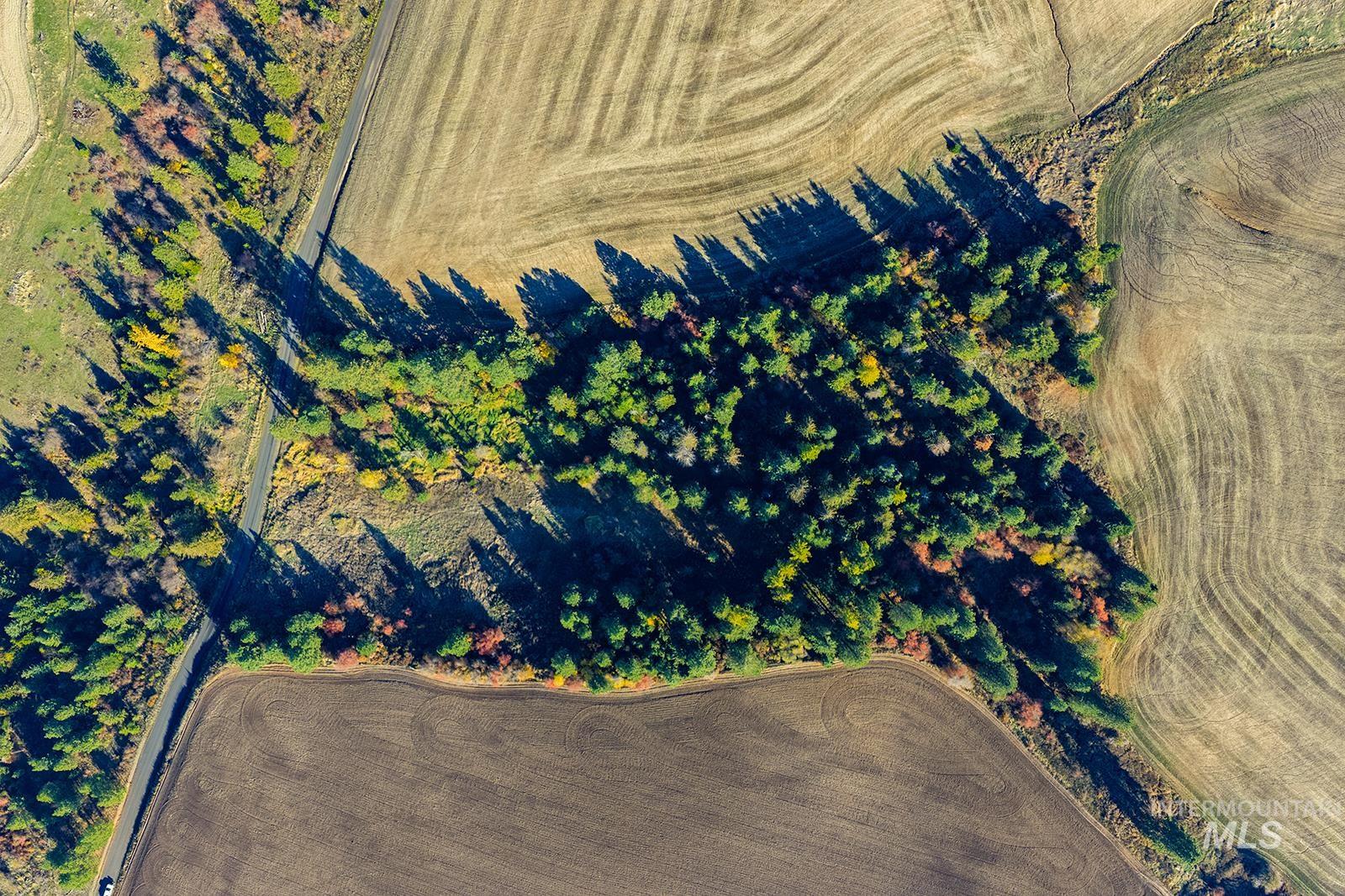View of rural area with extensive farmland