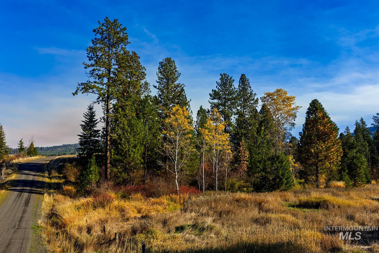 View of undeveloped land