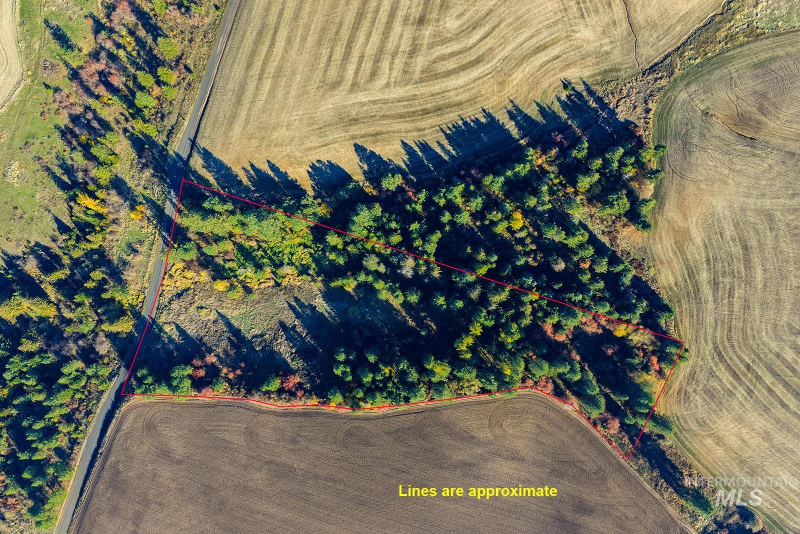 Aerial view of sparsely populated area with rows of crops and property parcel outlined