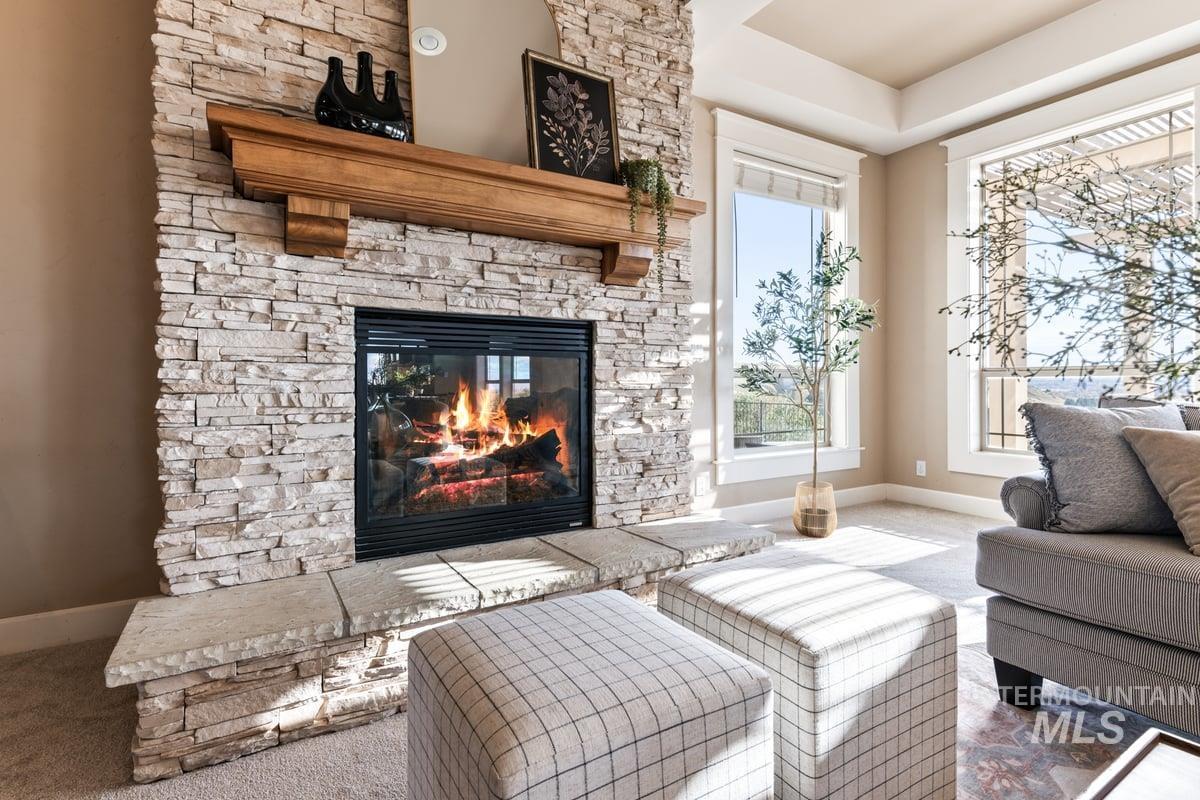 Living room featuring carpet and a stone fireplace