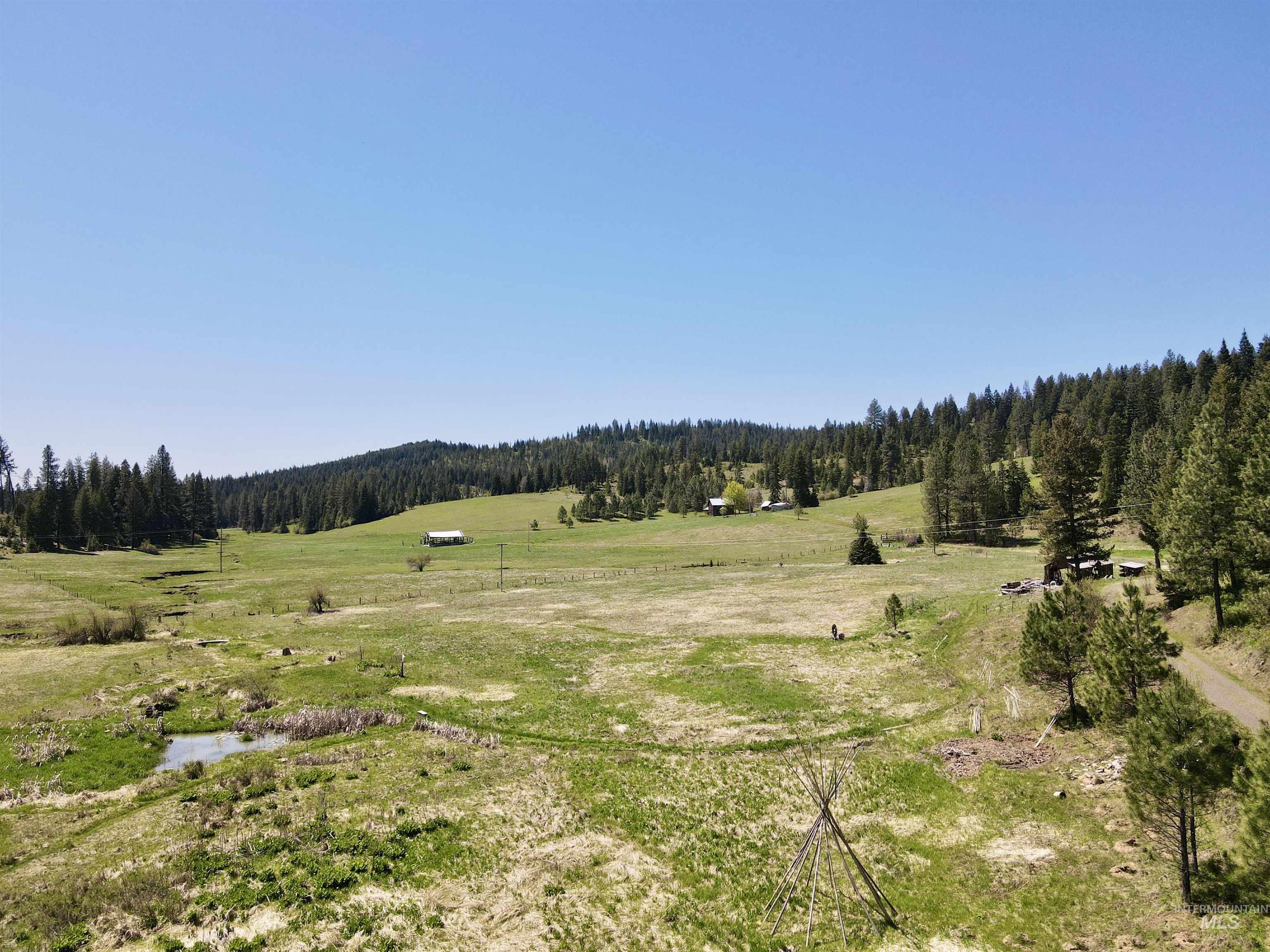 1366 Glenwood Road, Kamiah, Idaho 83536, 3 Bedrooms, 2 Bathrooms, Residential For Sale, Price $387,000, 98967079