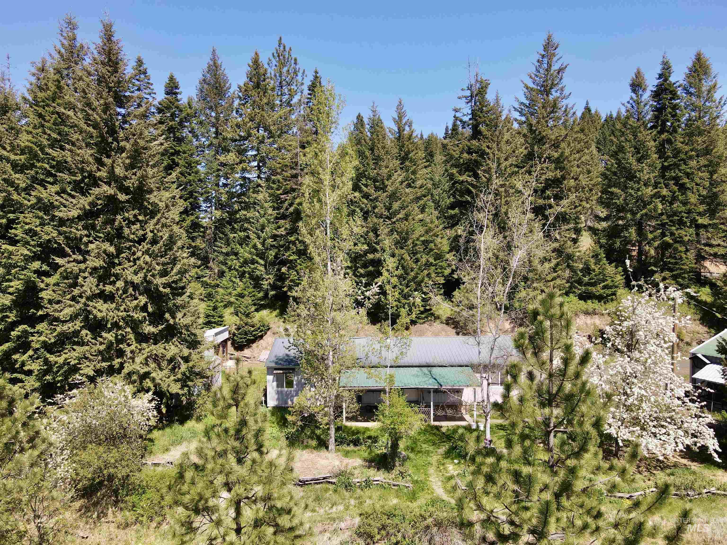 1366 Glenwood Road, Kamiah, Idaho 83536, 3 Bedrooms, 2 Bathrooms, Residential For Sale, Price $387,000, 98967079