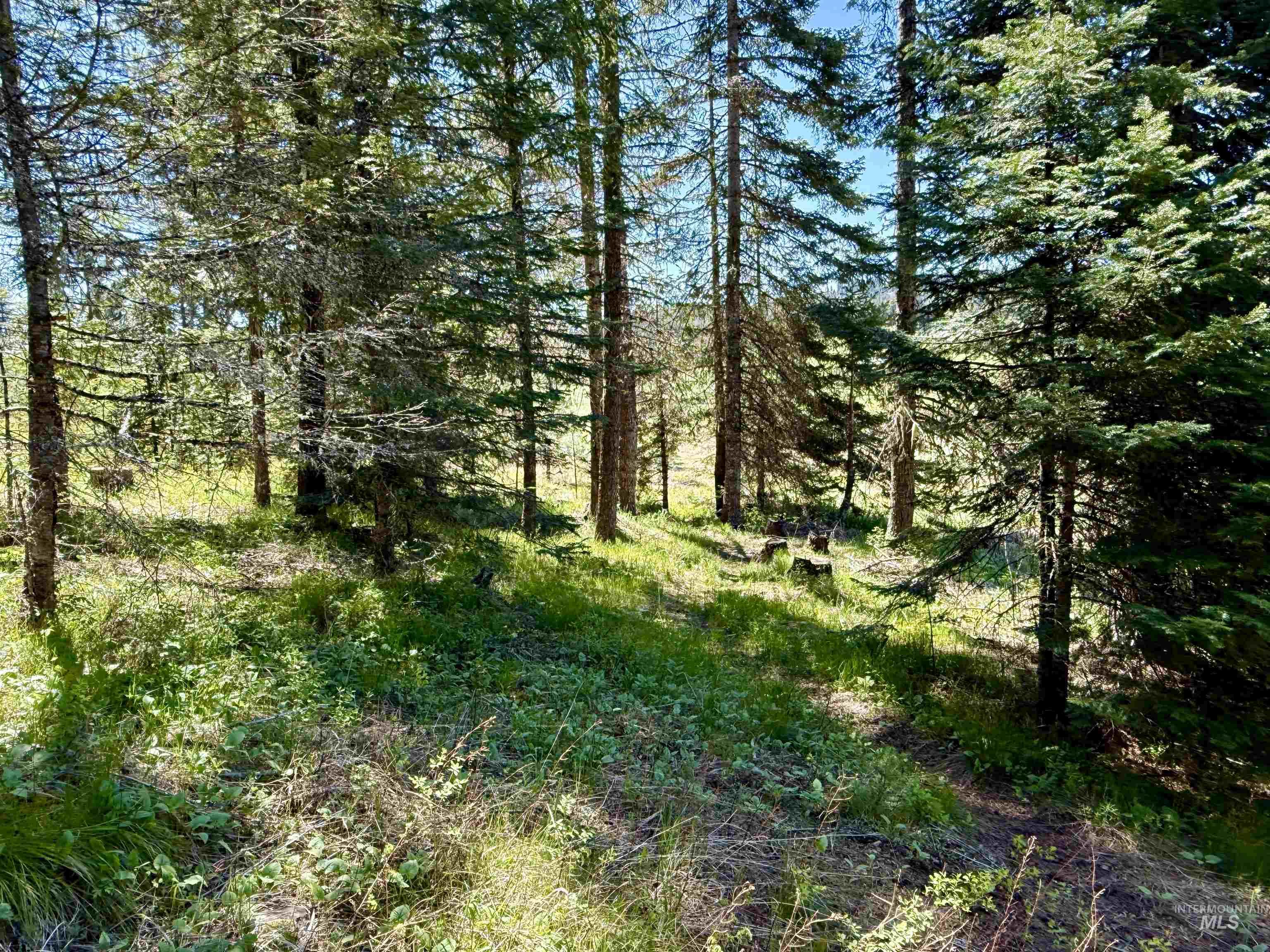 1366 Glenwood Road, Kamiah, Idaho 83536, 3 Bedrooms, 2 Bathrooms, Residential For Sale, Price $387,000, 98967079