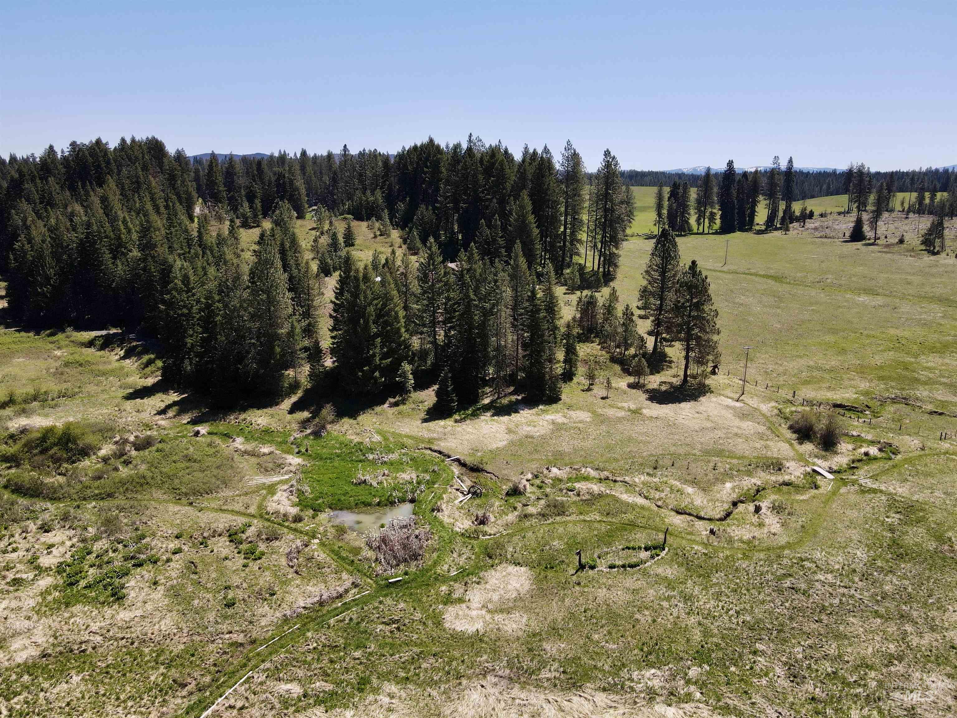 1366 Glenwood Road, Kamiah, Idaho 83536, 3 Bedrooms, 2 Bathrooms, Residential For Sale, Price $387,000, 98967079