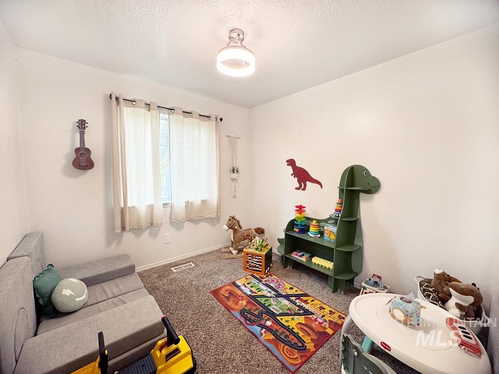 Rec room with carpet floors and a textured ceiling
