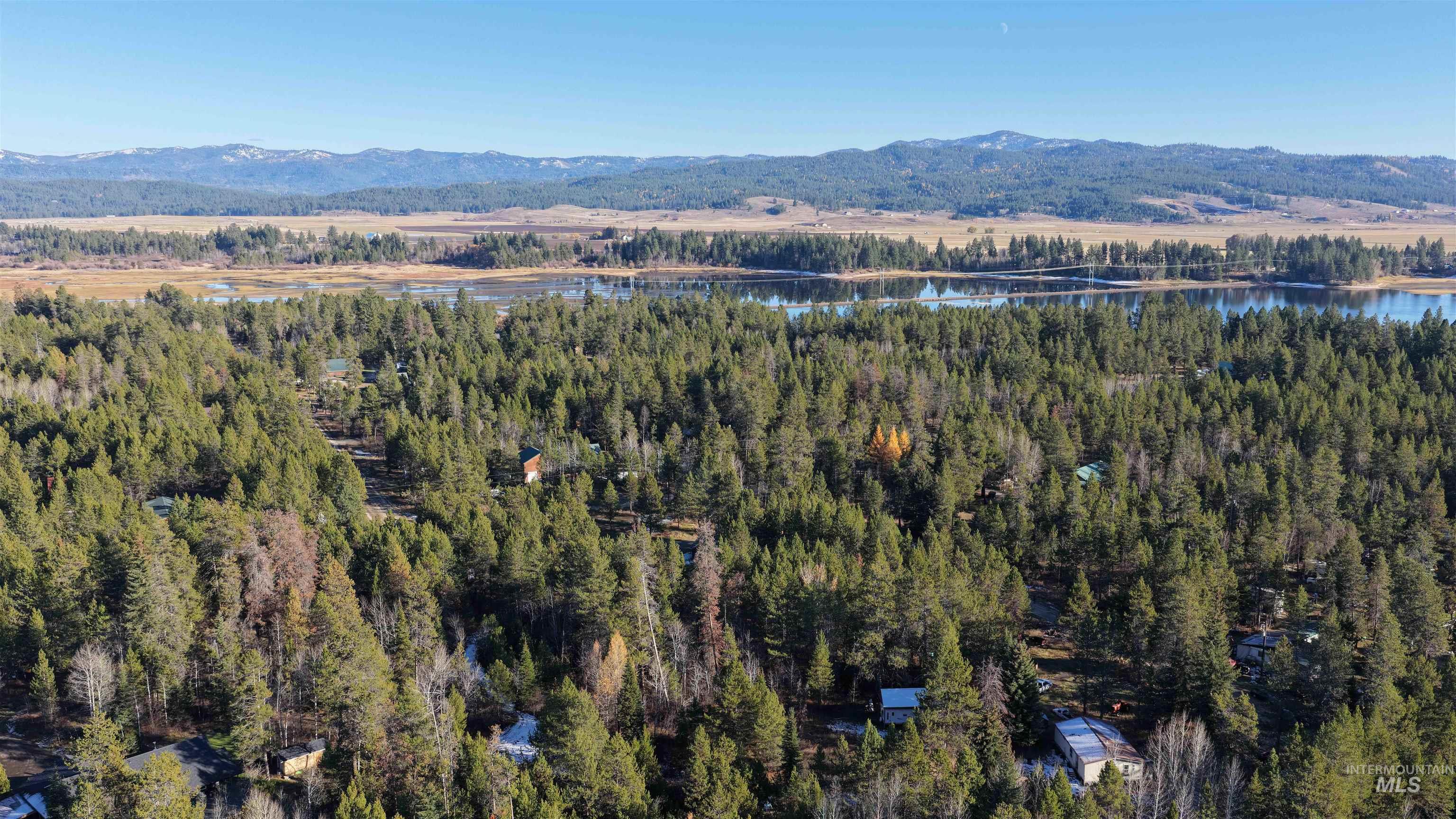 Aerial overview of property's location featuring a water and mountain view and a forest
