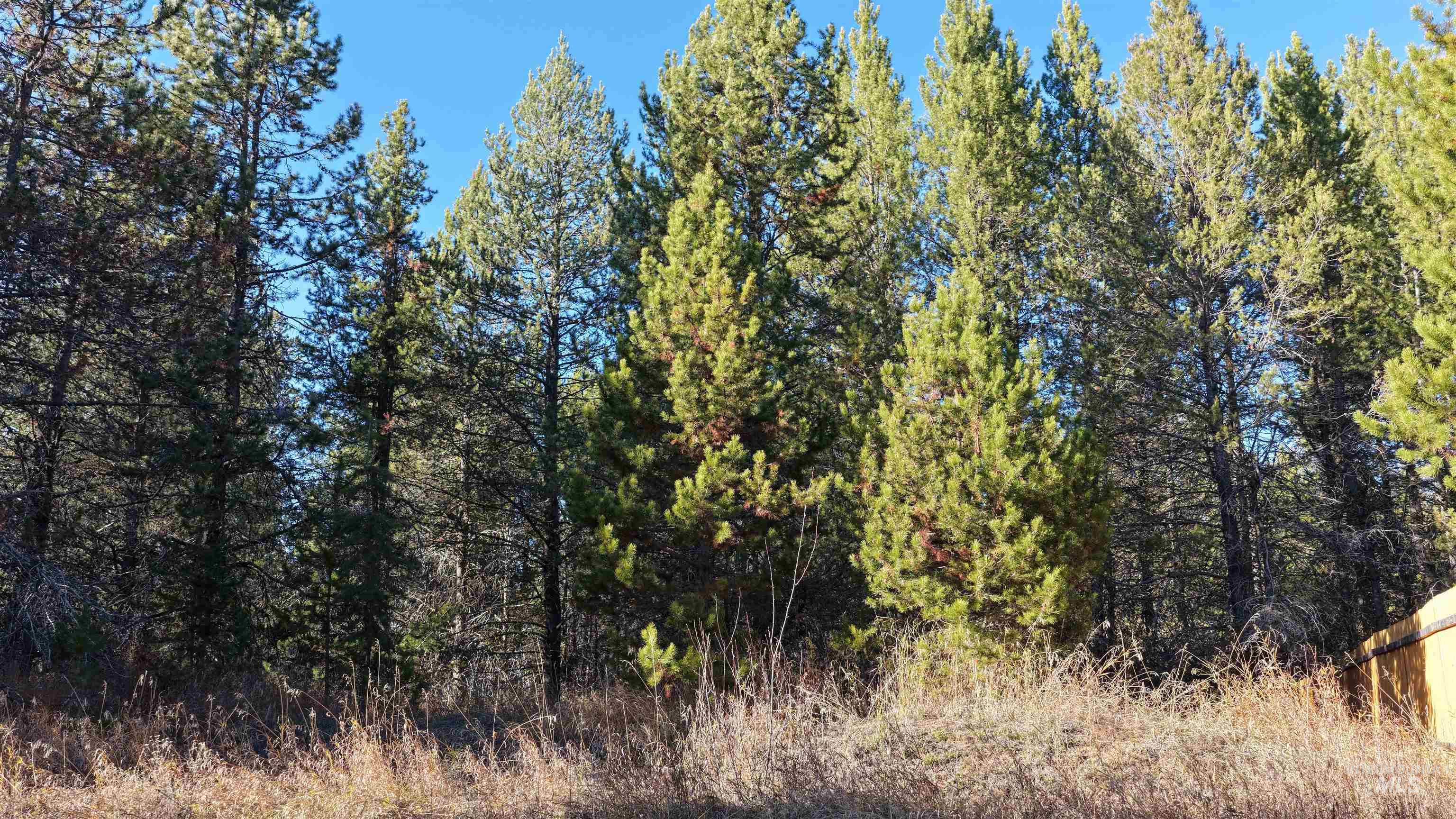 118 Westwind Ln, Donnelly, Idaho 83615, Land For Sale, Price $258,000, 98967094