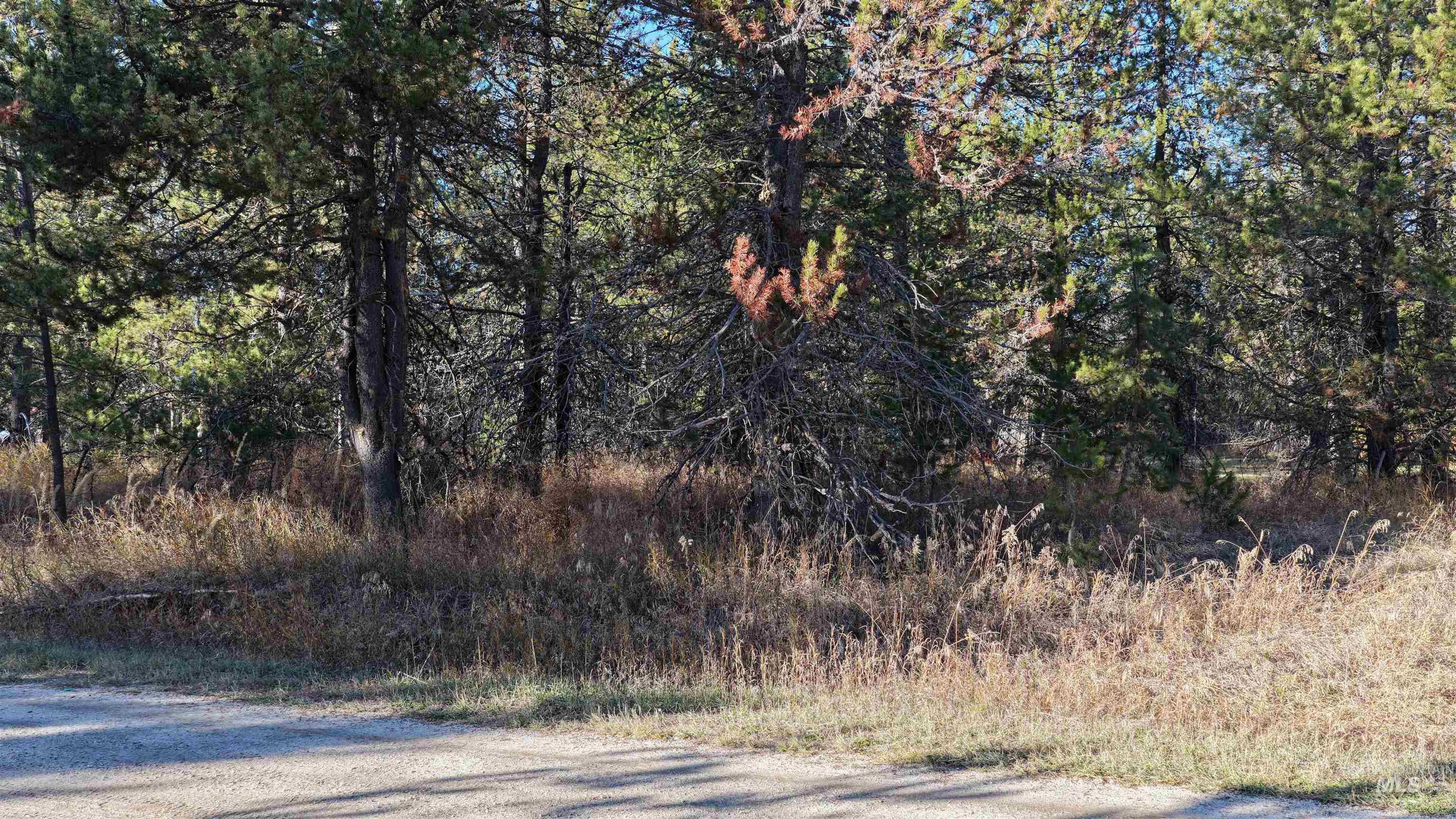 118 Westwind Ln, Donnelly, Idaho 83615, Land For Sale, Price $258,000, 98967094