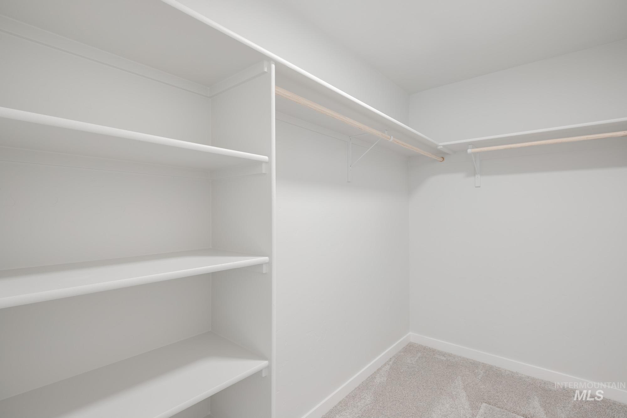 Spacious closet featuring light carpet