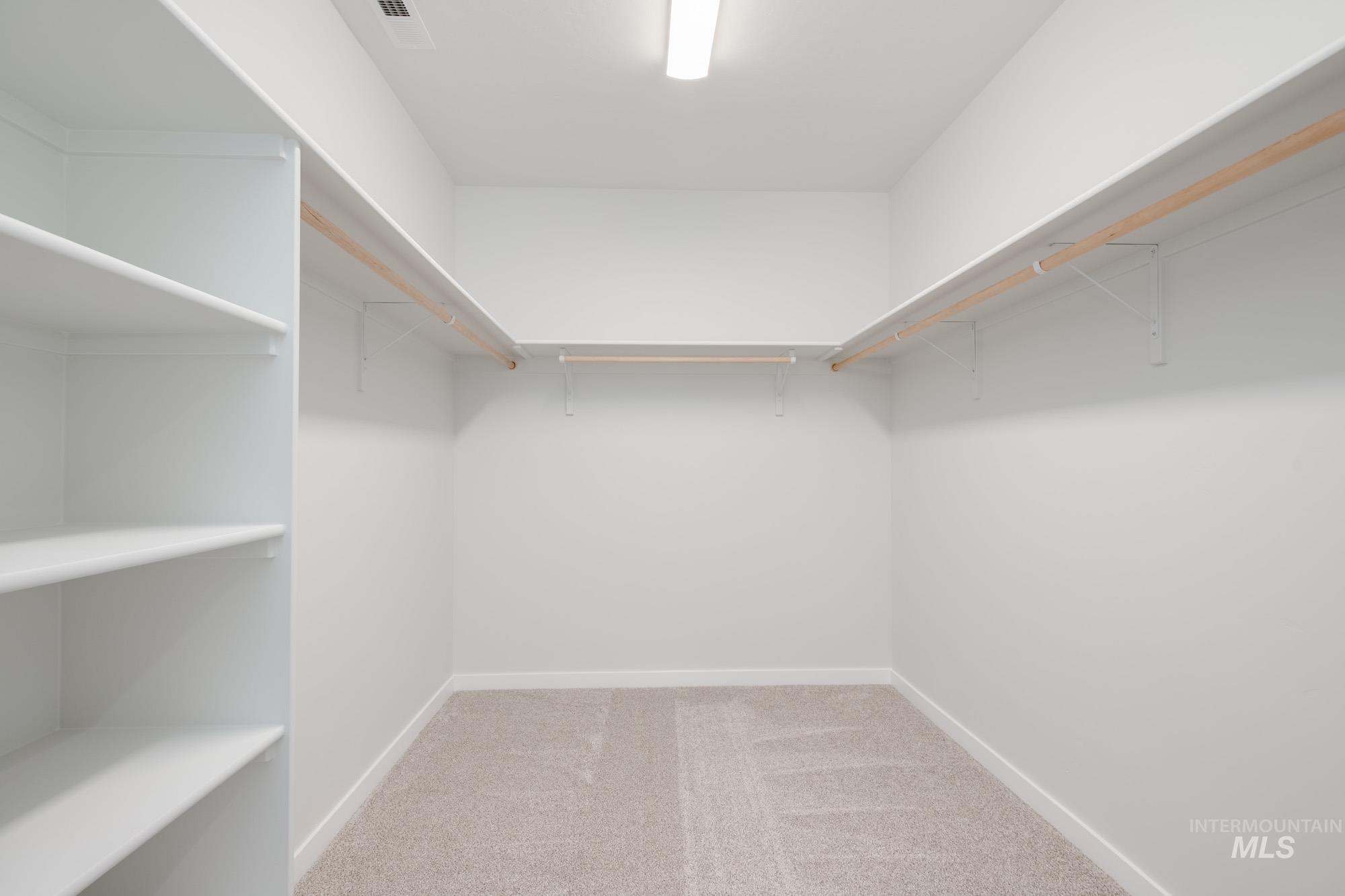 Spacious closet featuring light carpet