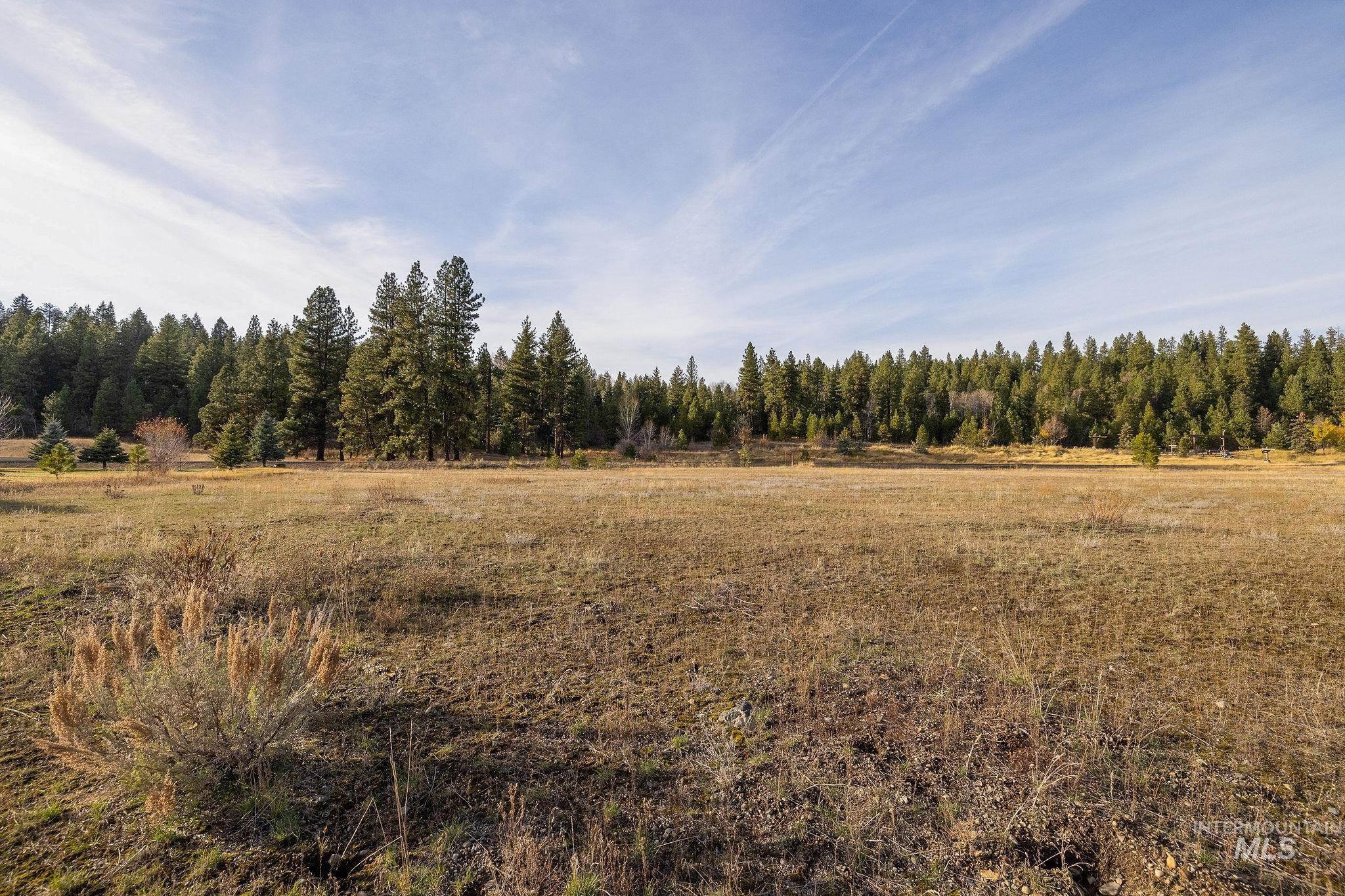 18 Arrowgrass Way, McCall, Idaho 83638, Land For Sale, Price $185,000, 98967104