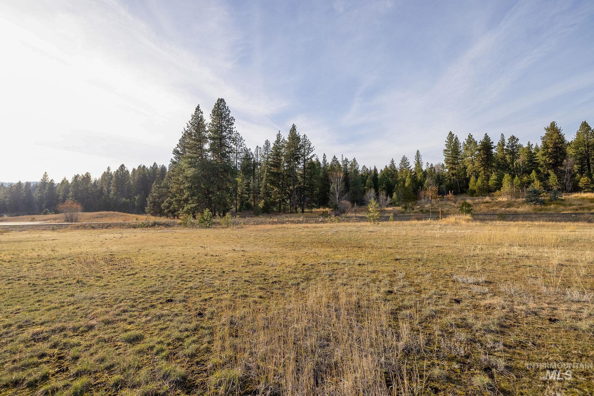 18 Arrowgrass Way, McCall, Idaho 83638, Land For Sale, Price $185,000, 98967104