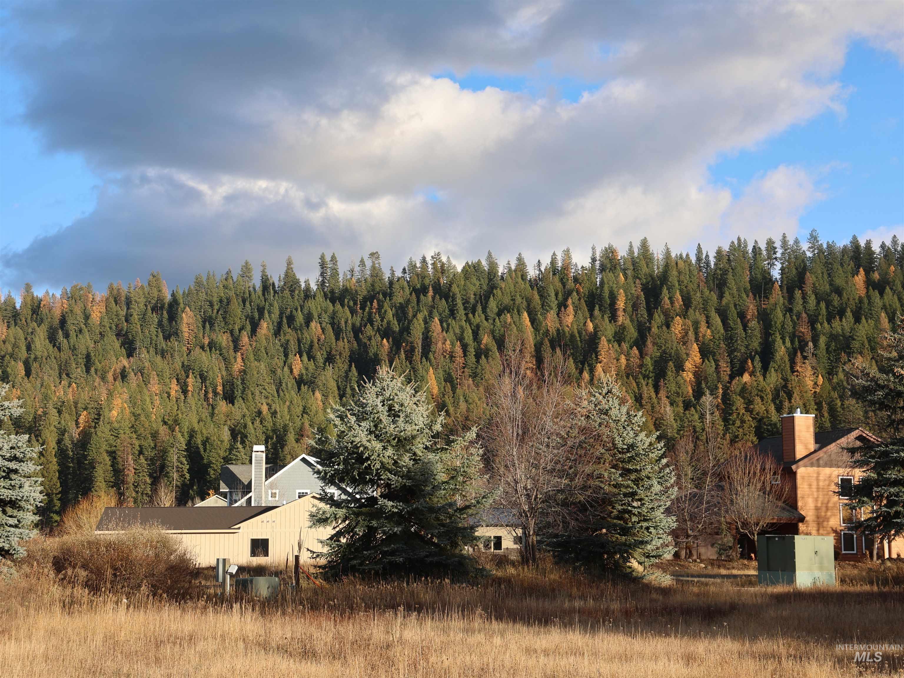 View of subject property featuring a forest