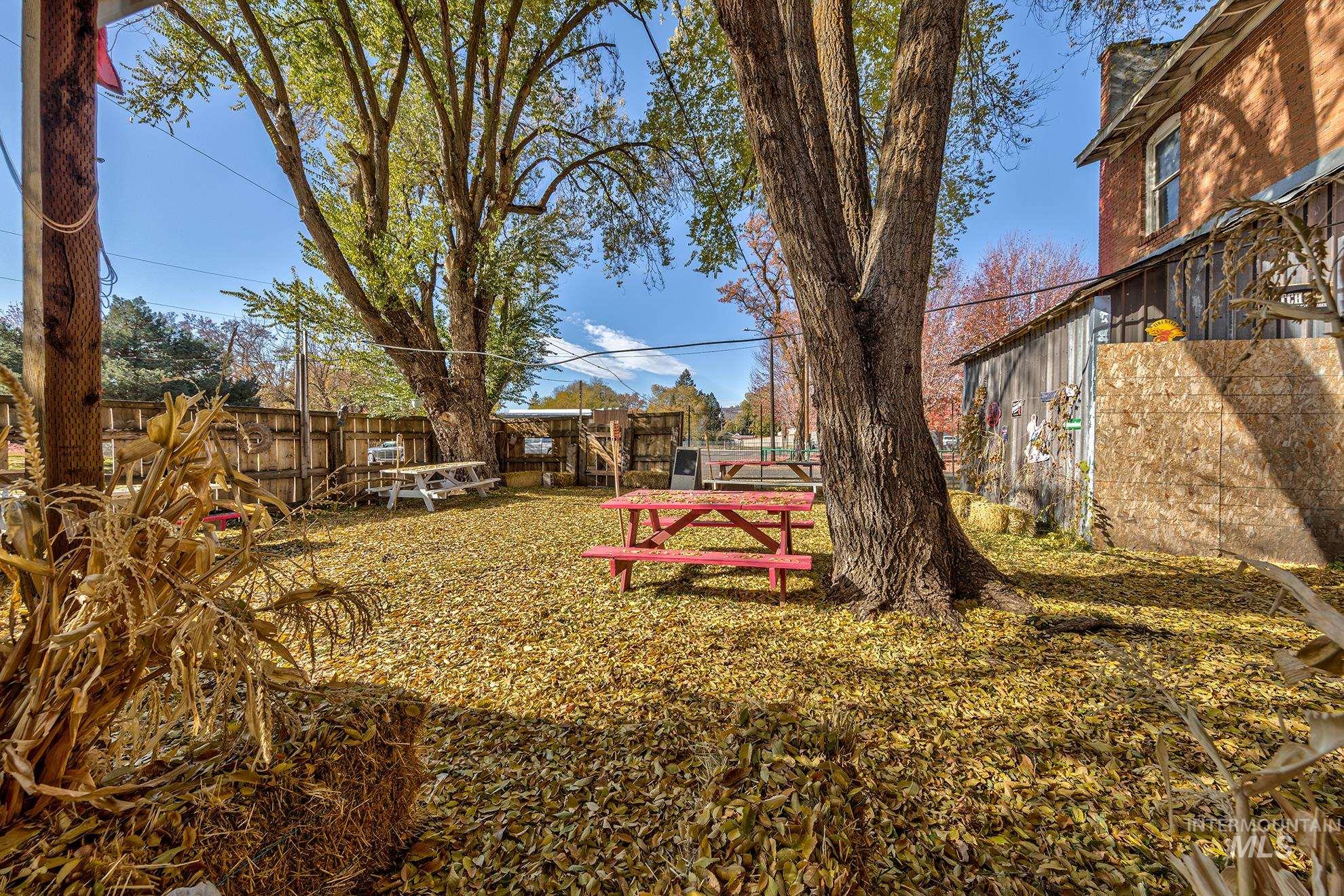 Fenced back beer garden