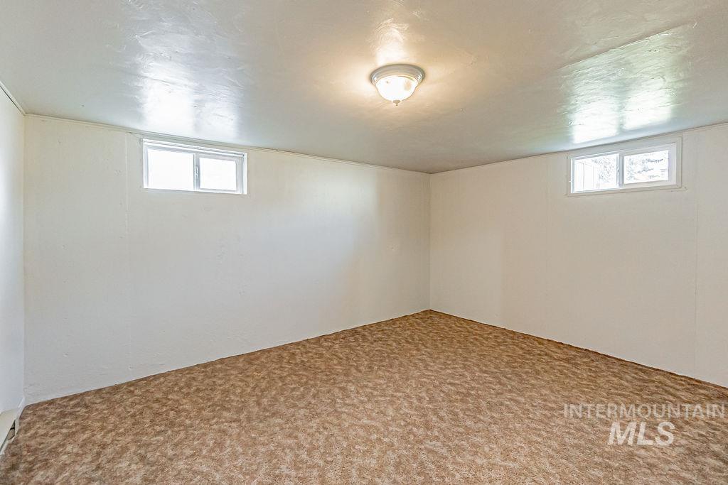 Basement with carpet floors