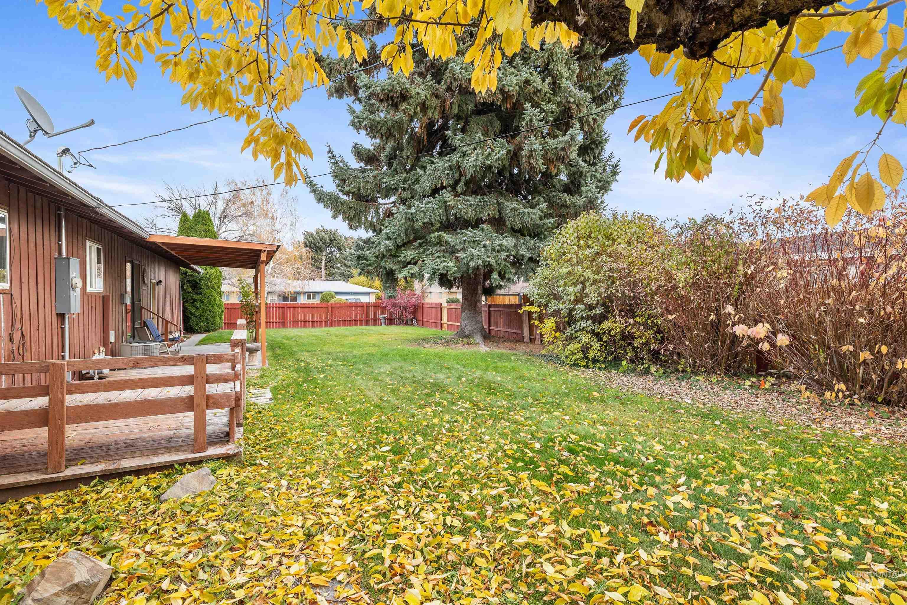 View of fenced backyard