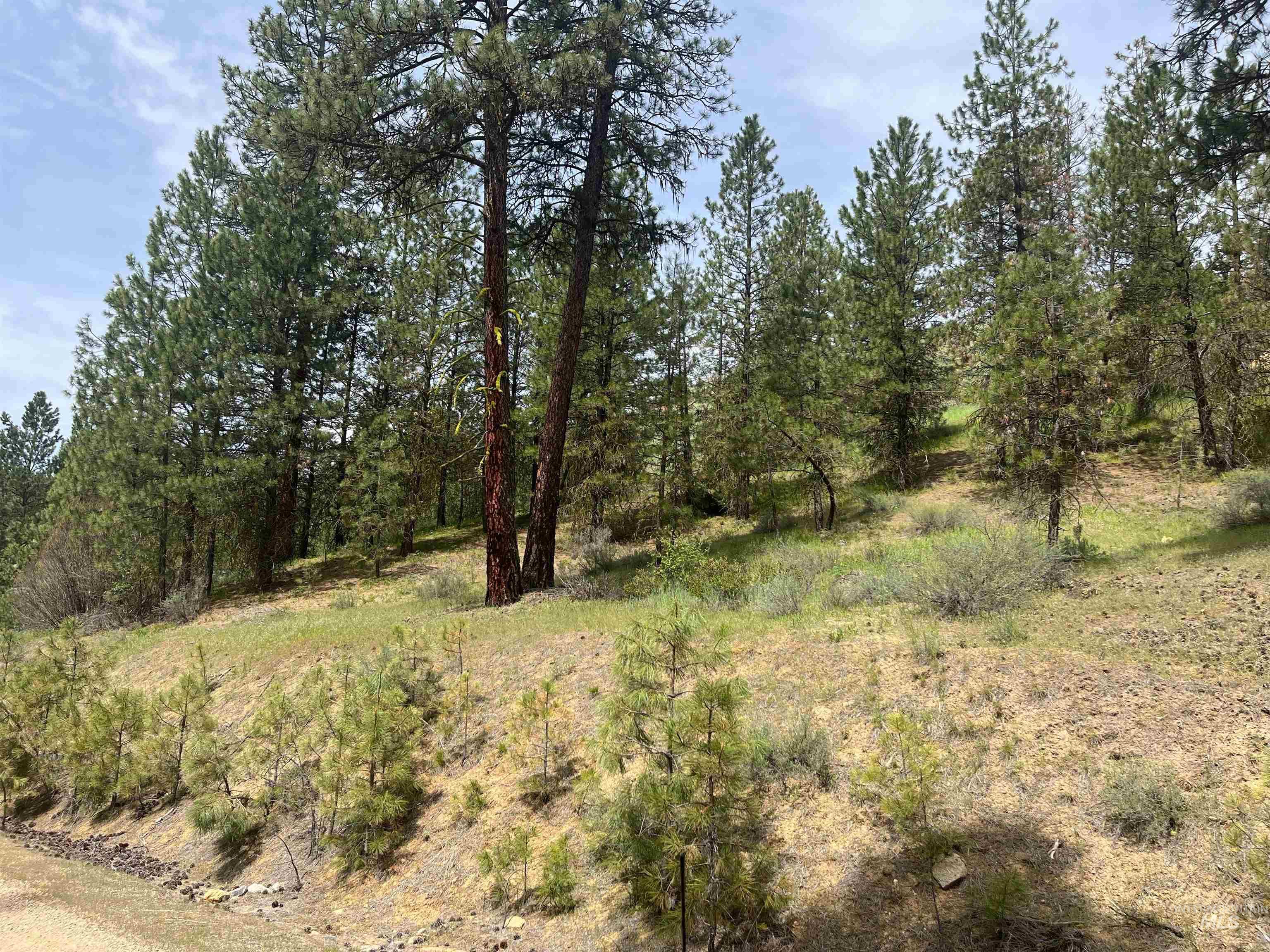 TBD Napias Lot 21, Boise, Idaho 83716, Land For Sale, Price $175,000, 98967224