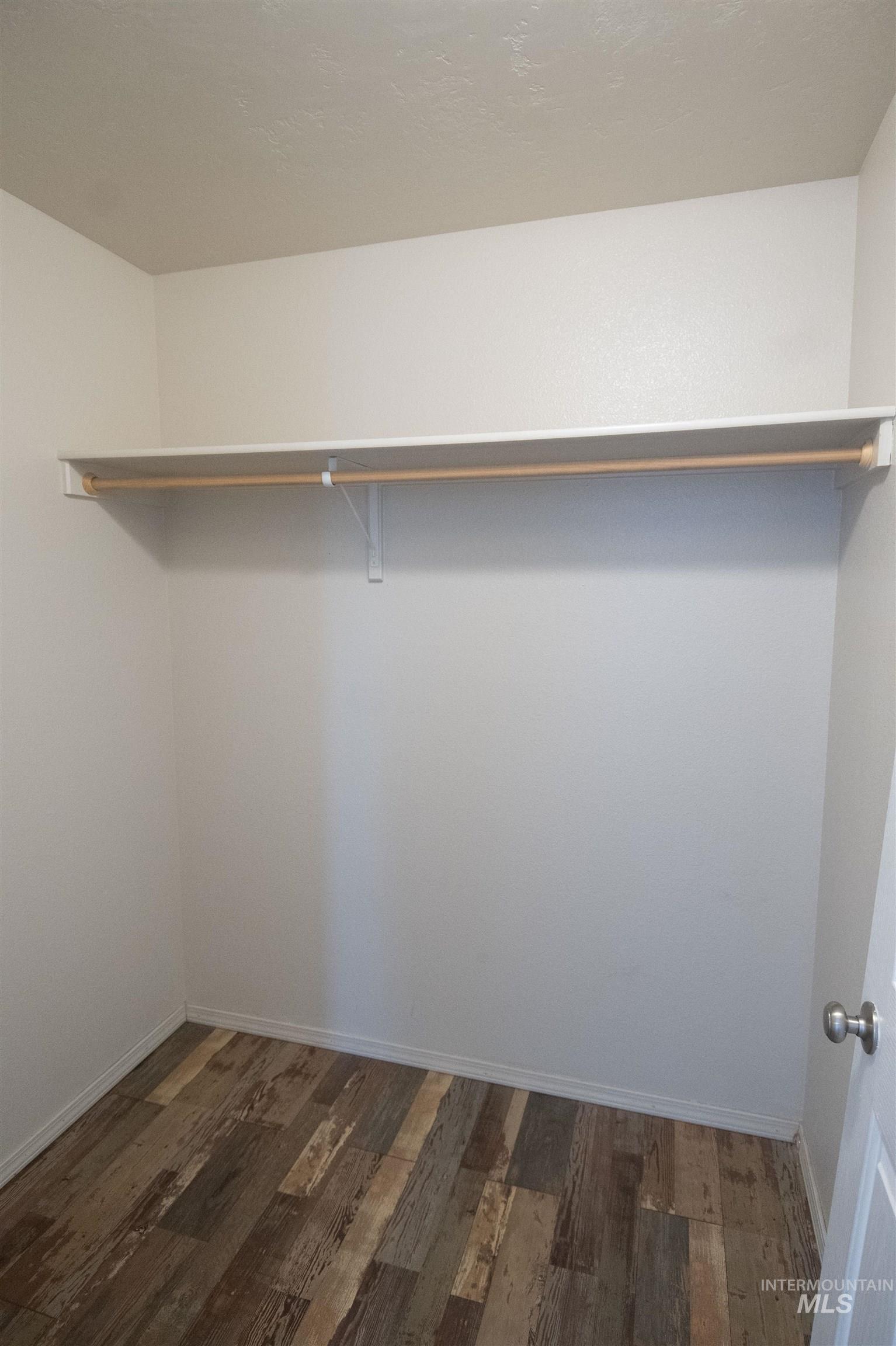 Spacious closet featuring dark wood finished floors