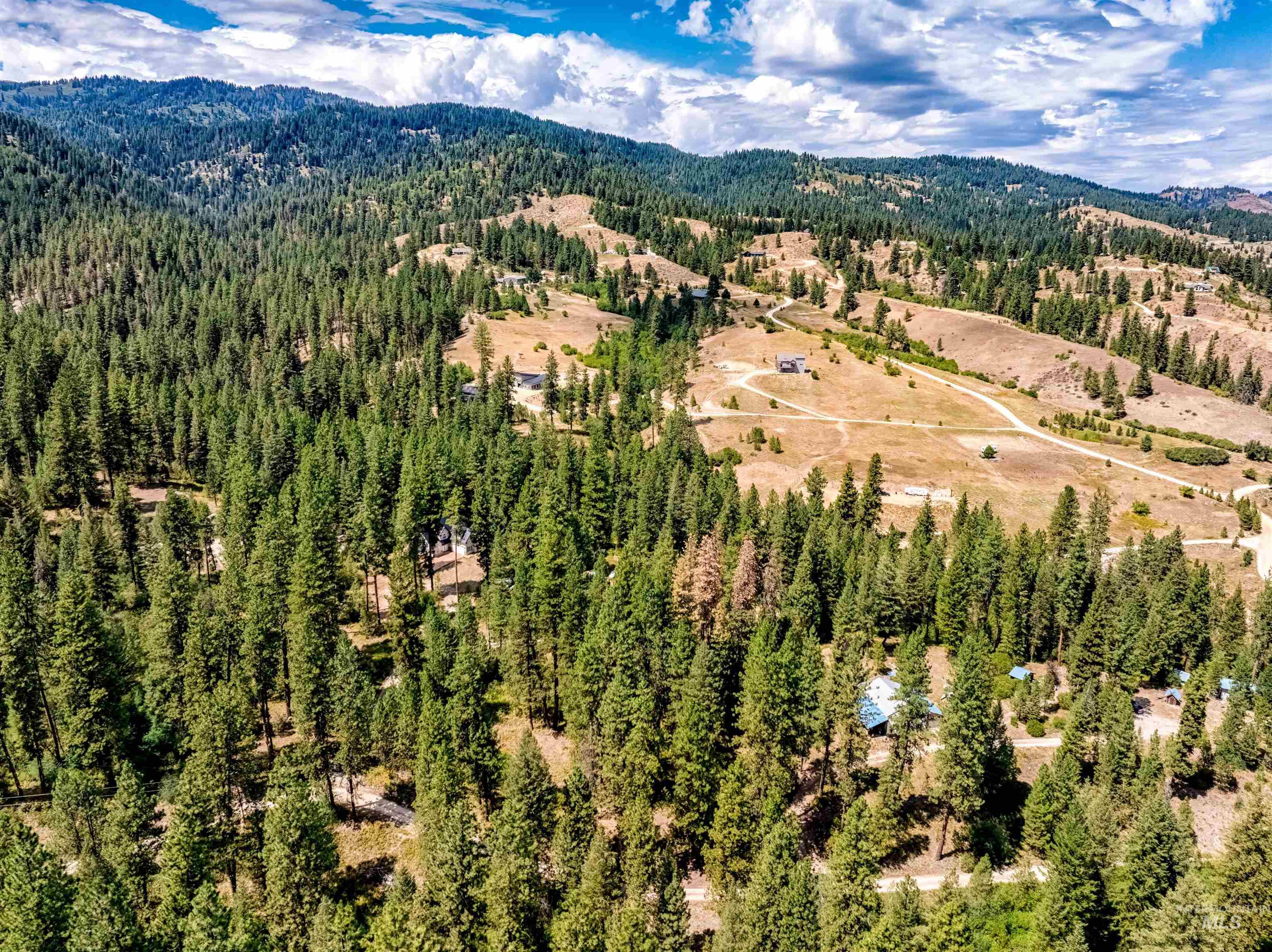 Bird's eye view of a mountainous background and a heavily wooded area
