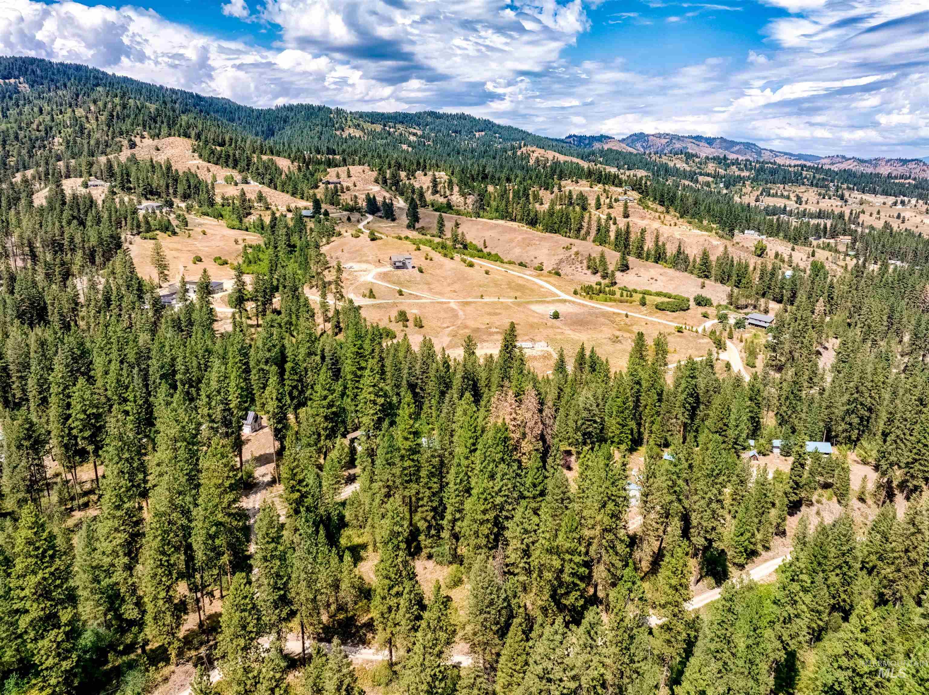 Drone / aerial view of a forest and a mountainous background