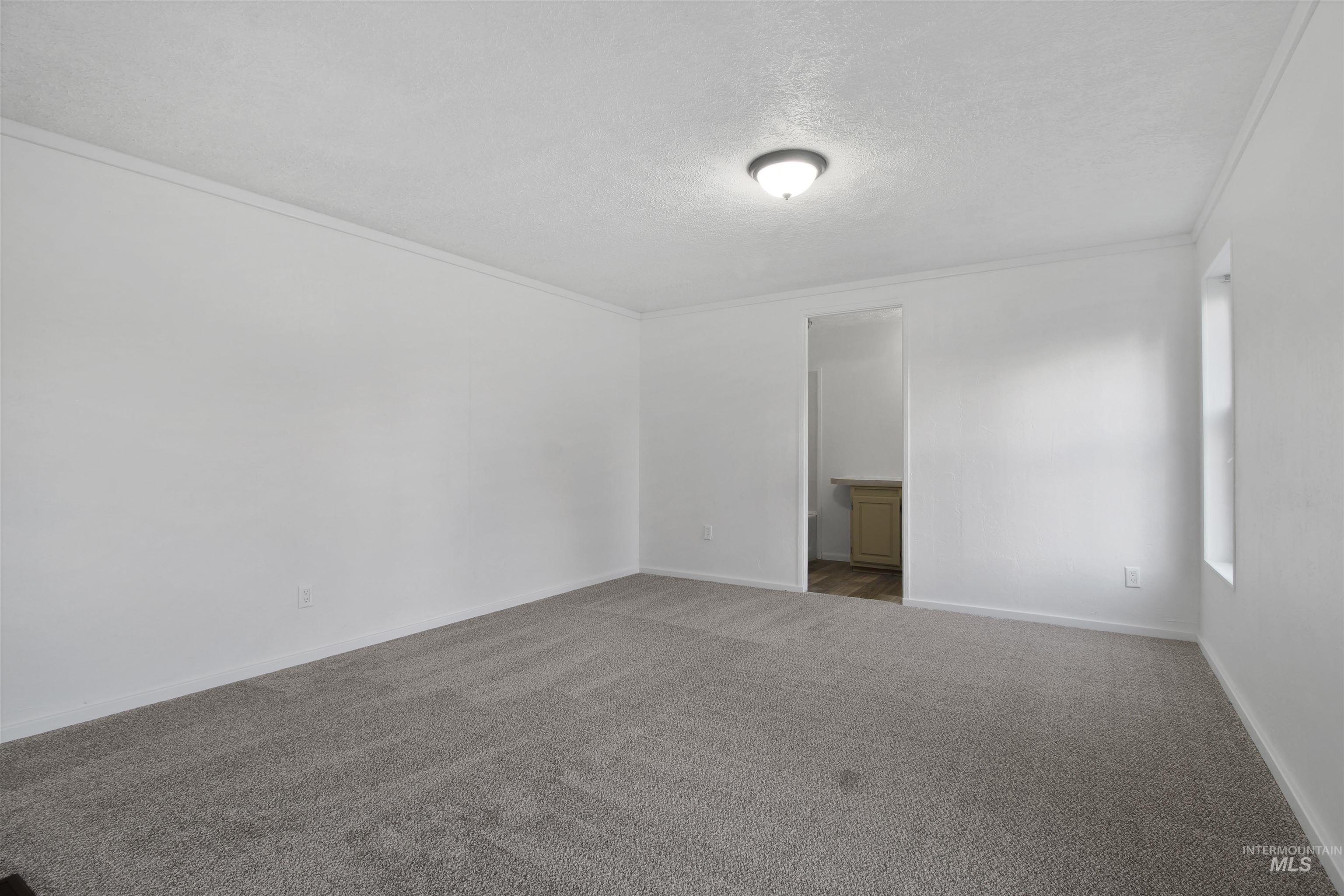 Spare room with a textured ceiling, crown molding, and carpet flooring
