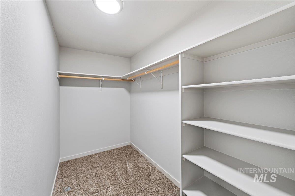 Walk in closet with light carpet