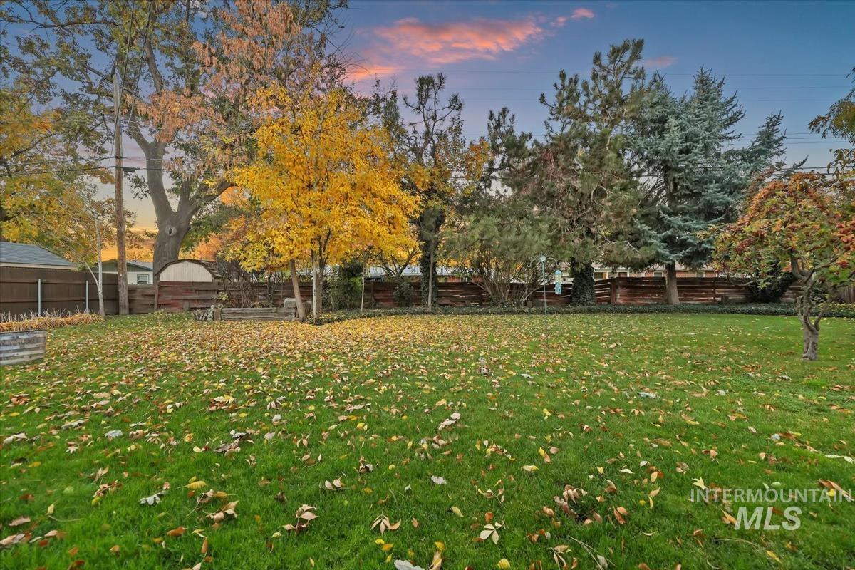 View of fenced backyard