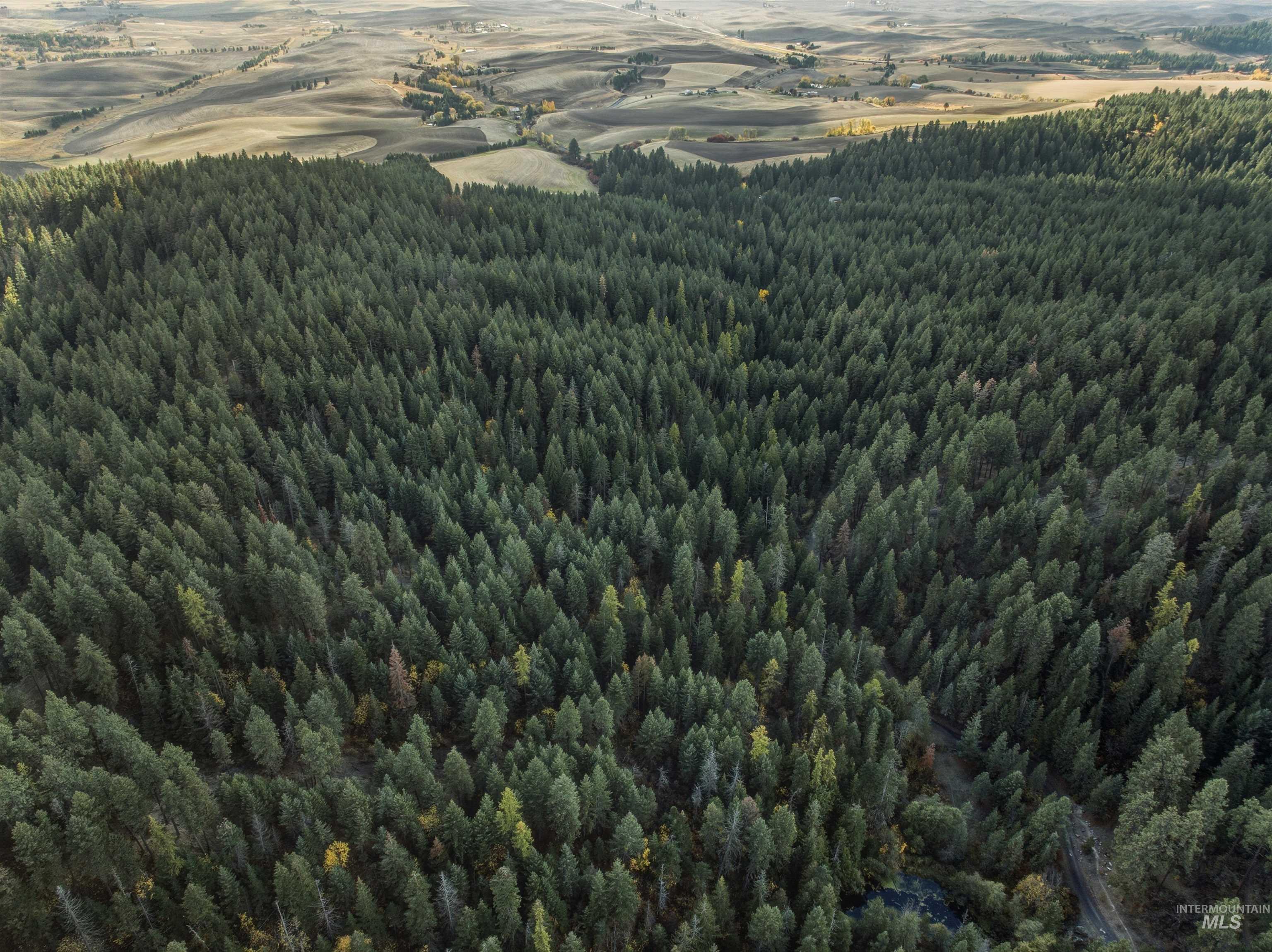 TBD Foothill Rd, Moscow, Idaho 83843, Land For Sale, Price $65,000, 98967331