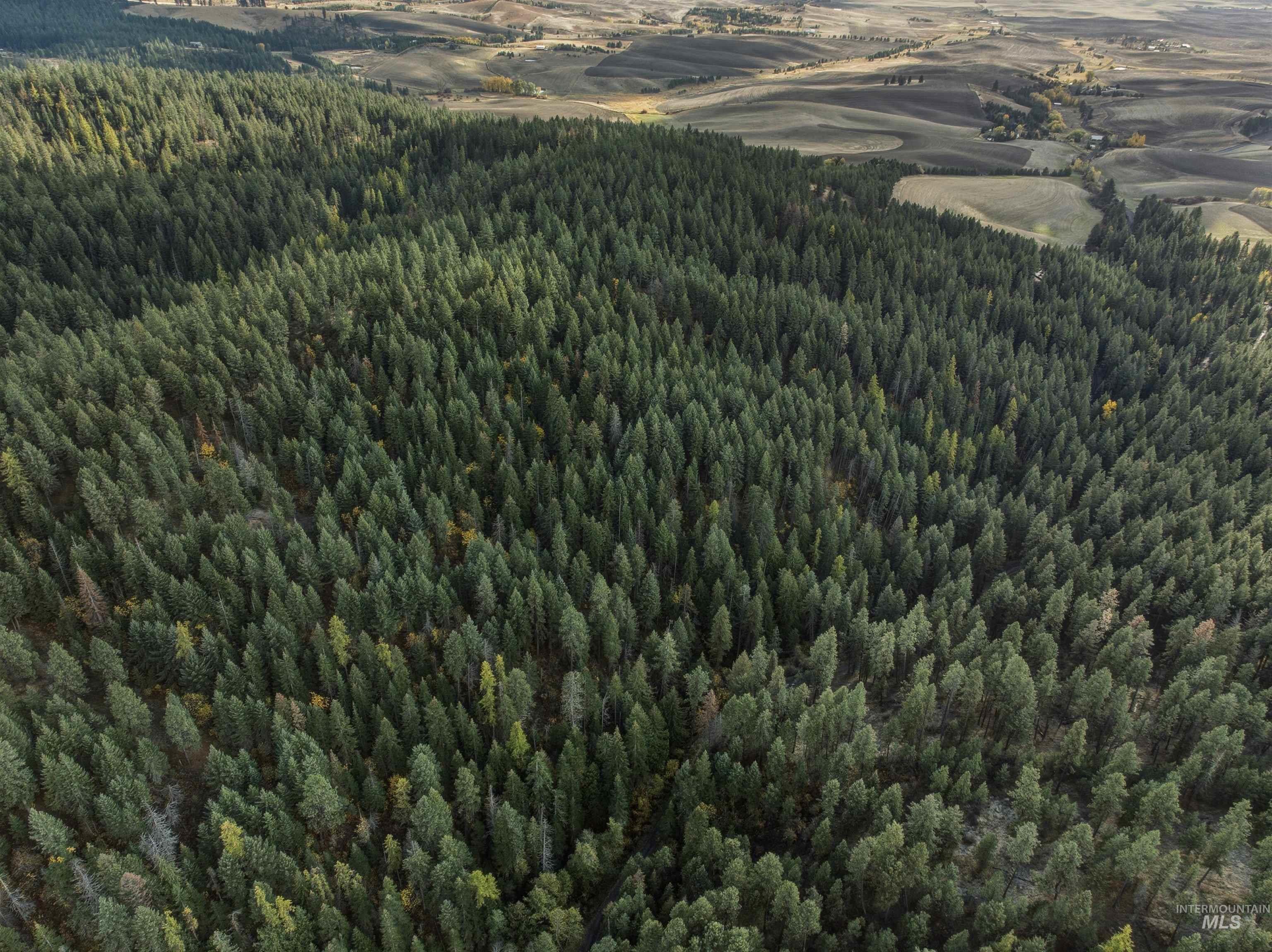 TBD Foothill Rd, Moscow, Idaho 83843, Land For Sale, Price $65,000, 98967331