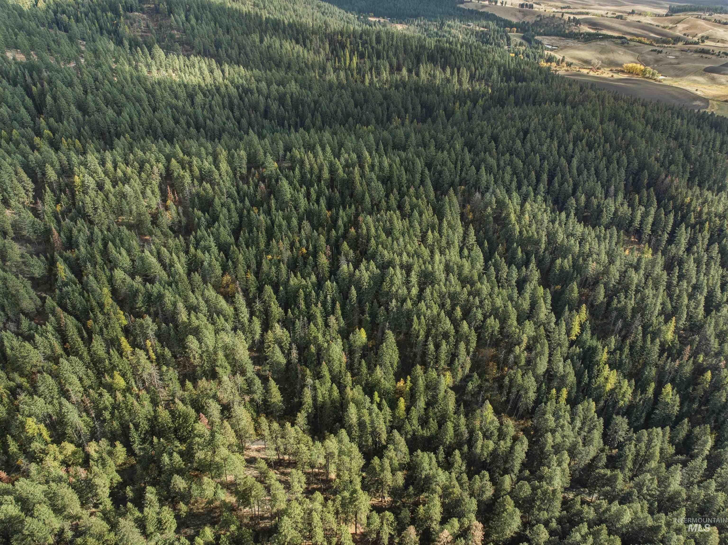 TBD Foothill Rd, Moscow, Idaho 83843, Land For Sale, Price $65,000, 98967331