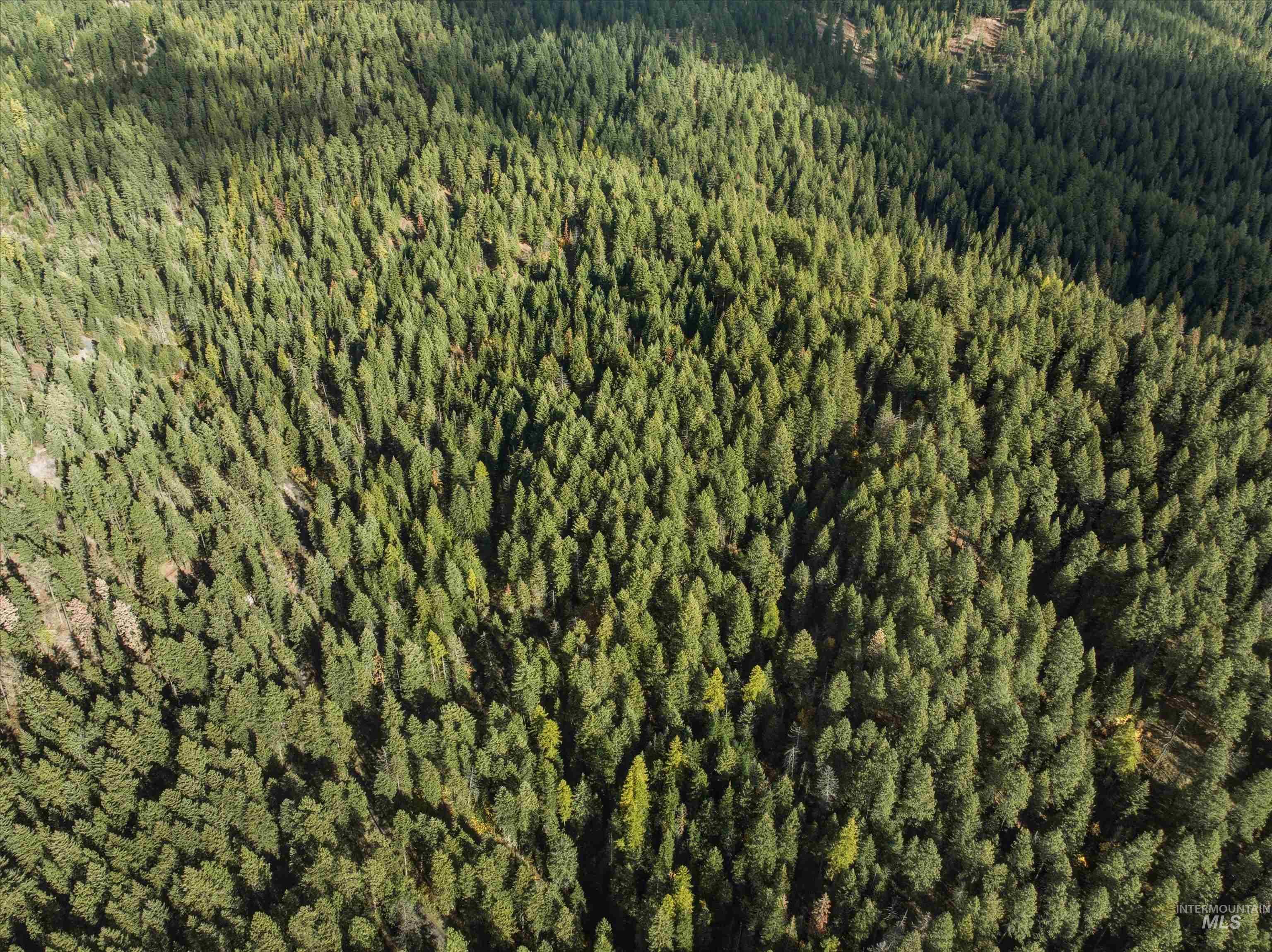 TBD Foothill Rd, Moscow, Idaho 83843, Land For Sale, Price $65,000, 98967331