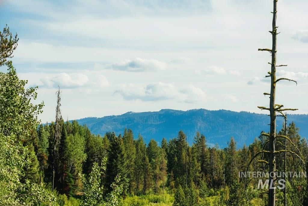 View of mountain background with a forest