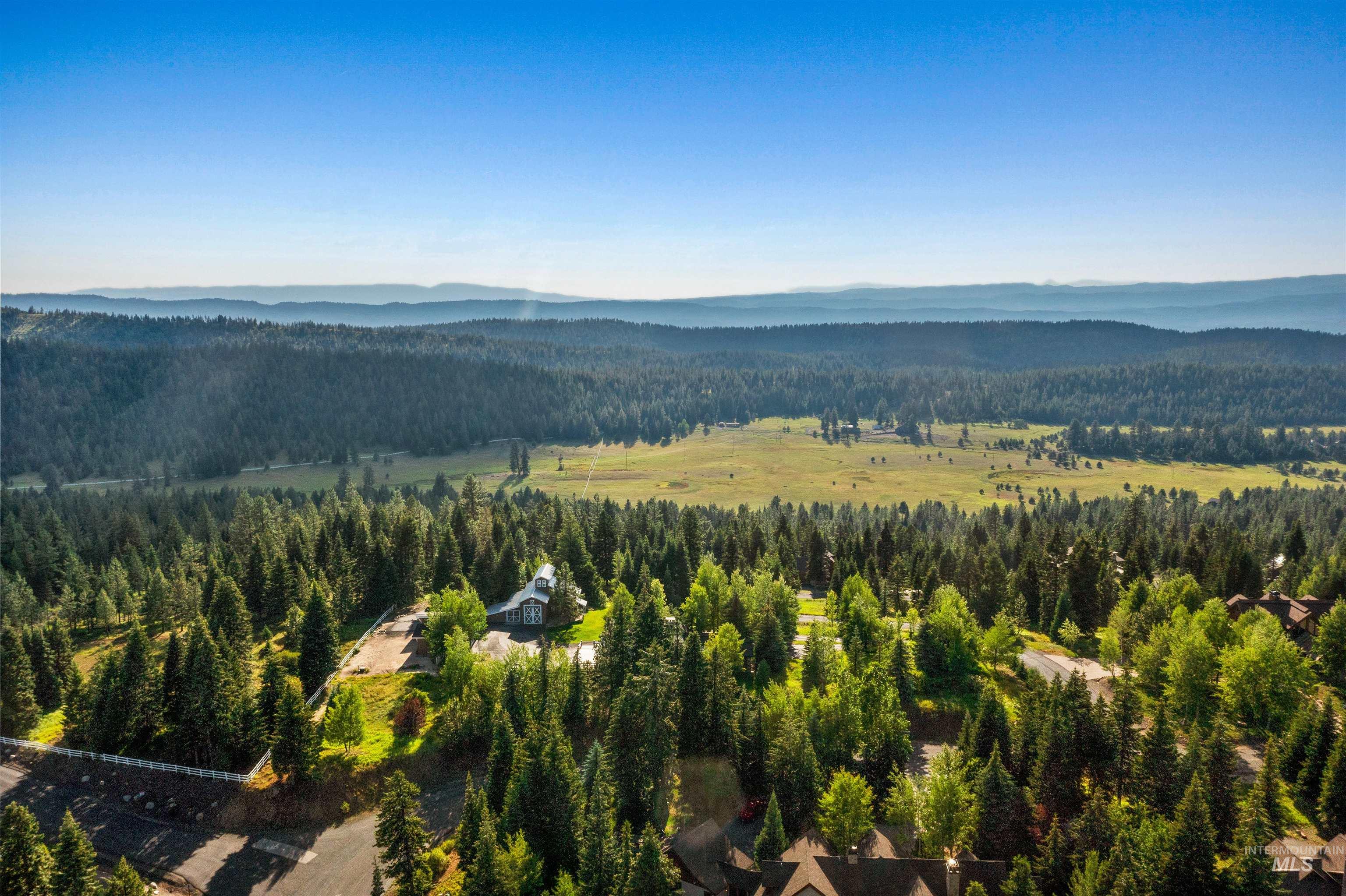 View of mountain backdrop with a forest