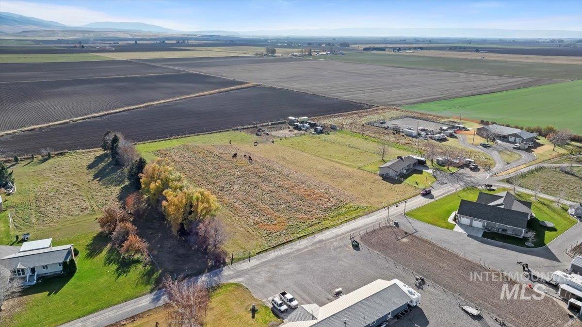 View of rural area with rows of crops