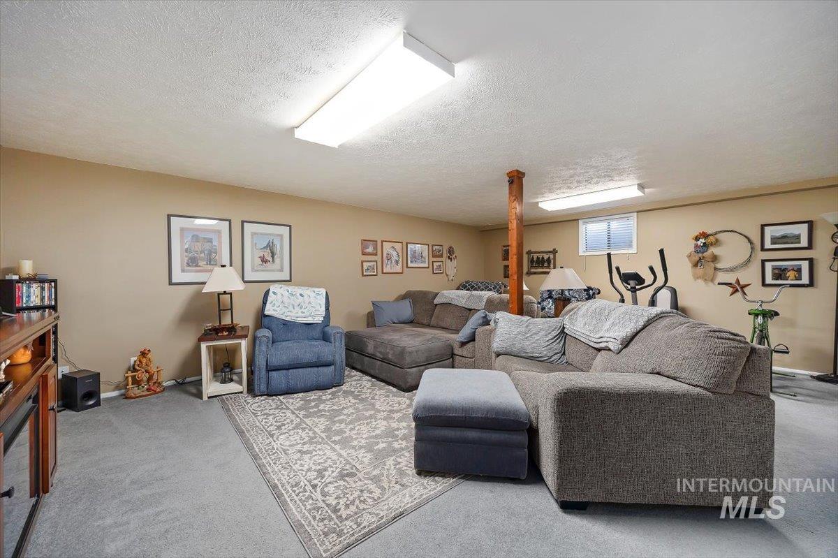 Carpeted living room featuring a textured ceiling